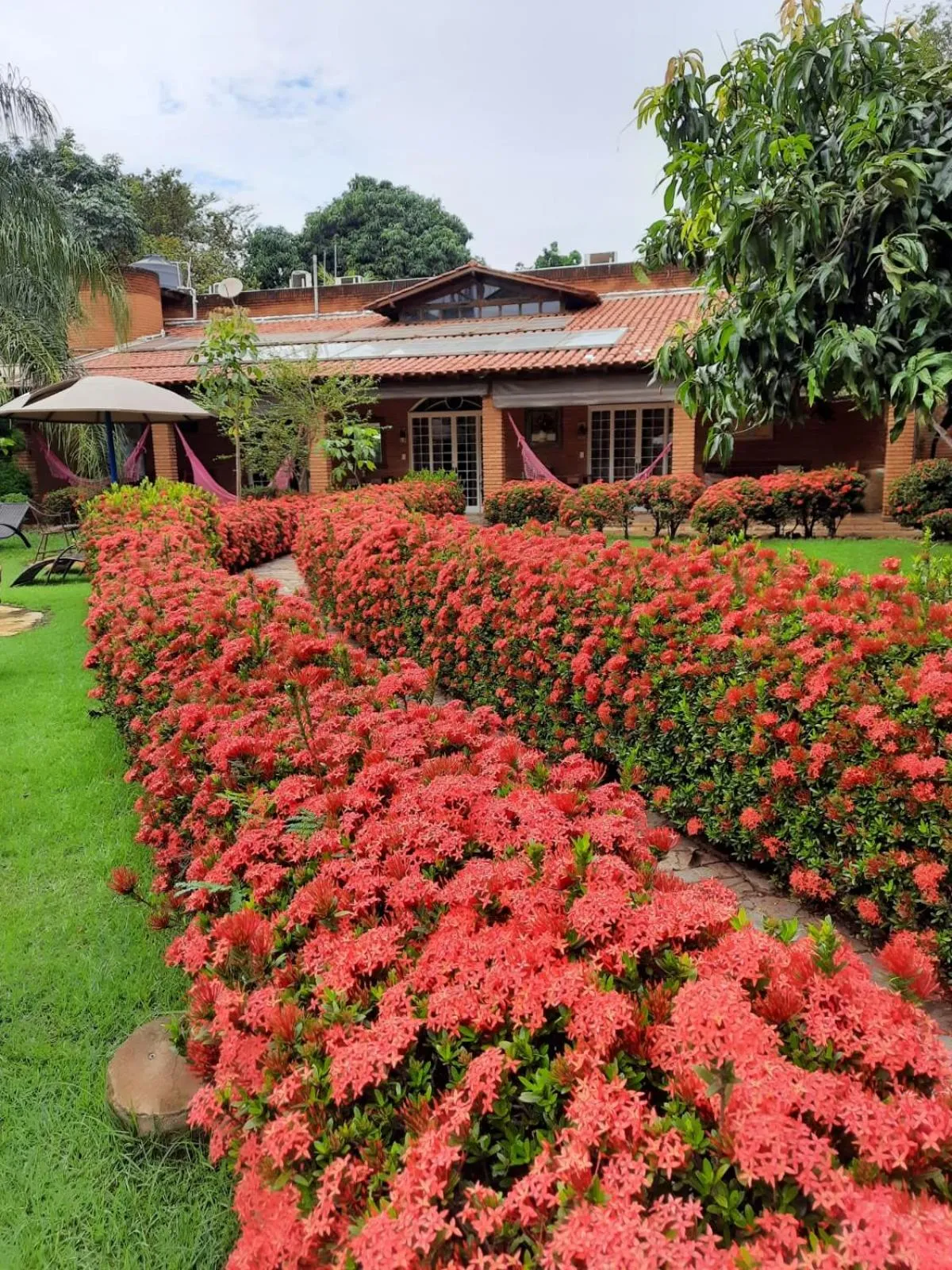 Hotel Pousada Chalé das Flores