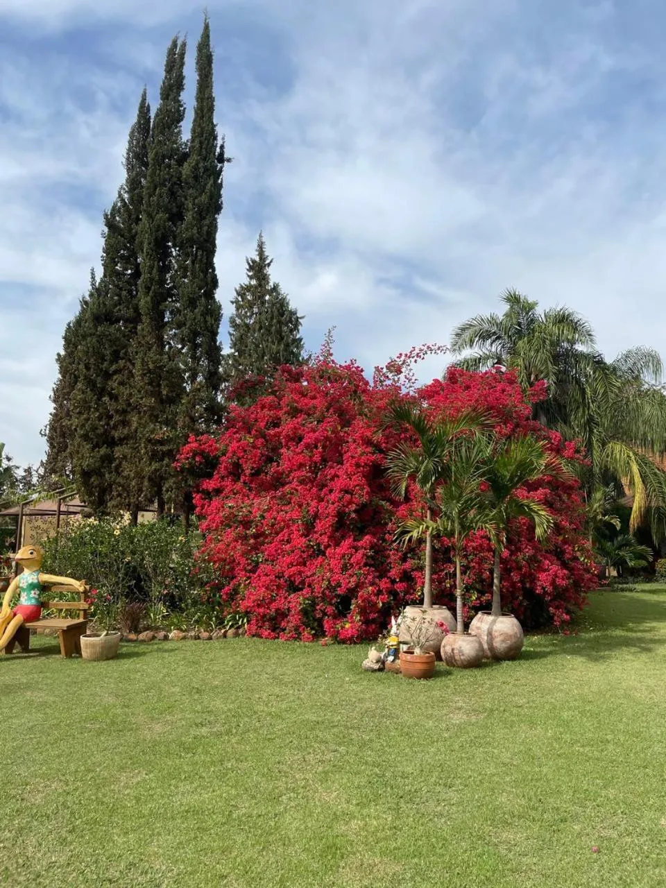 Hotel Pousada Chalé das Flores