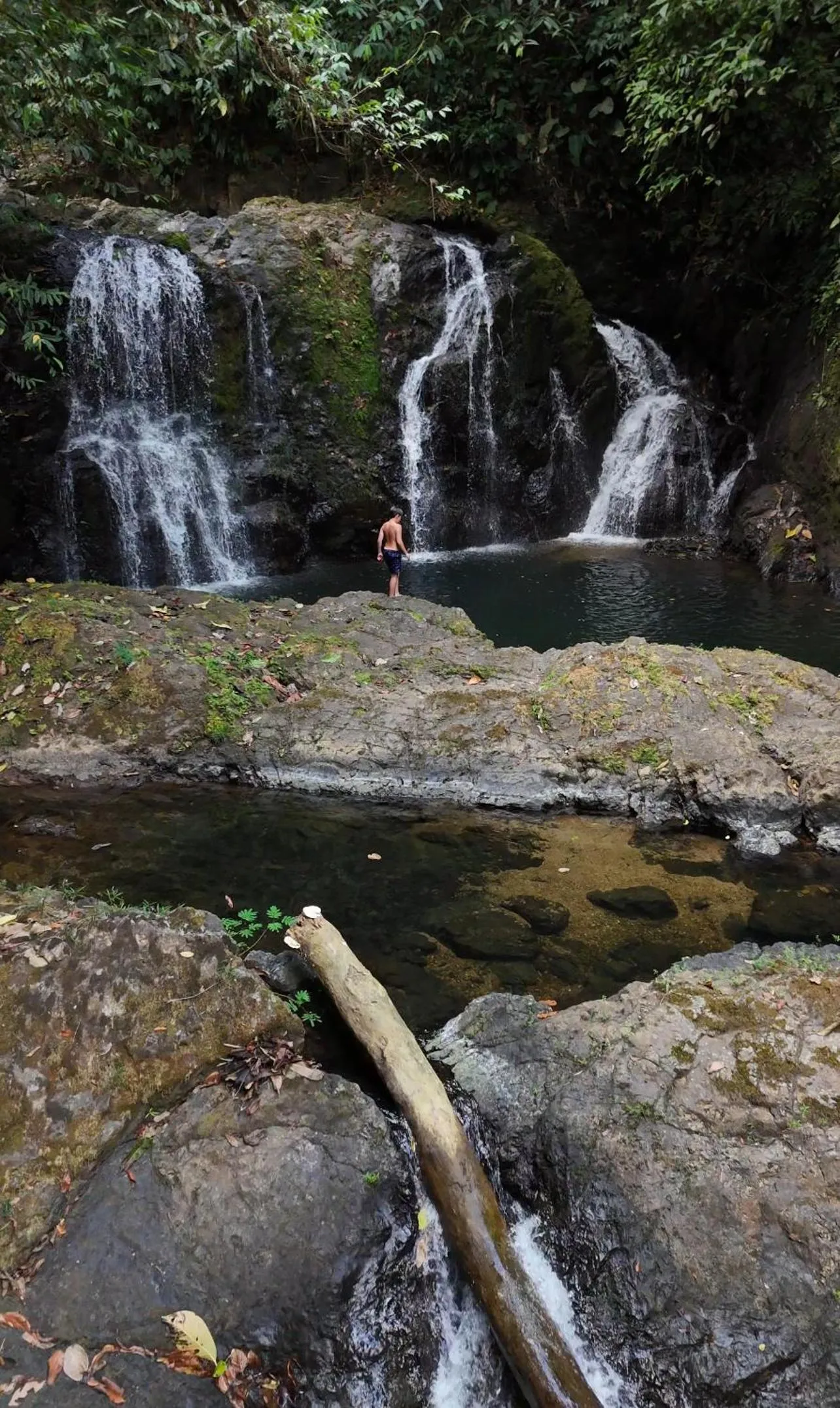Day in Copa De Arbol Beach & Rainforest Resort