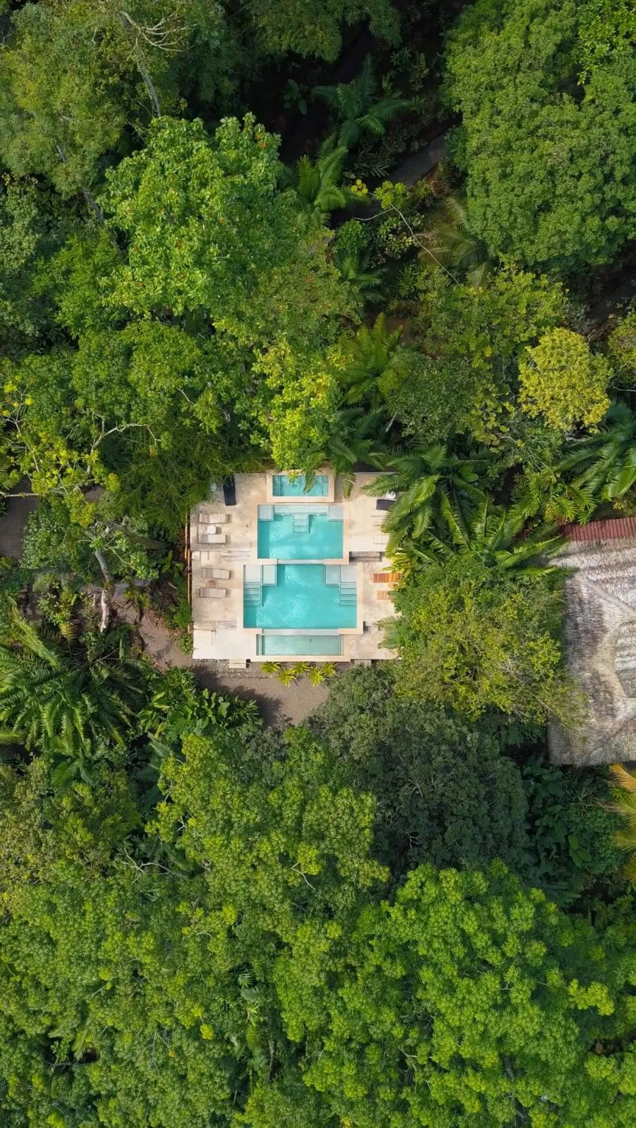 Bird's eye view in Copa De Arbol Beach & Rainforest Resort