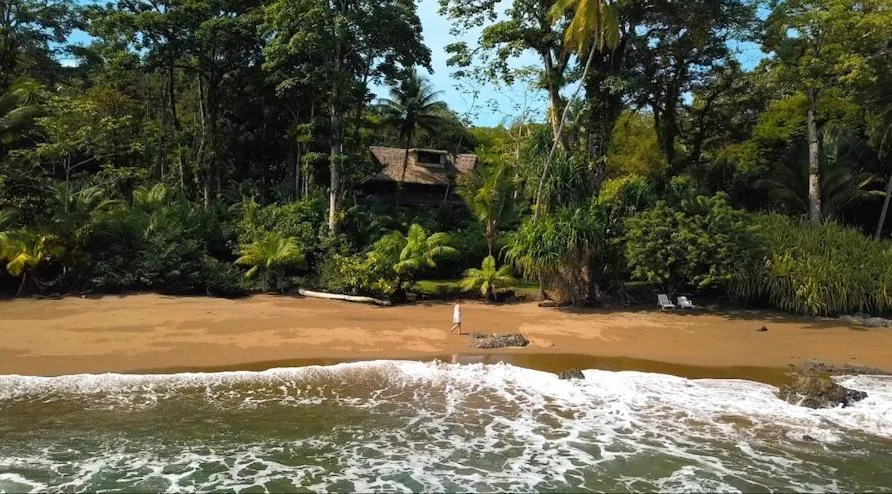 Property building in Copa De Arbol Beach & Rainforest Resort