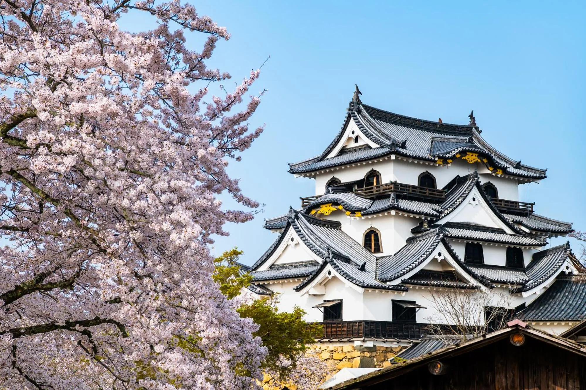 Nearby landmark in Yuzanso