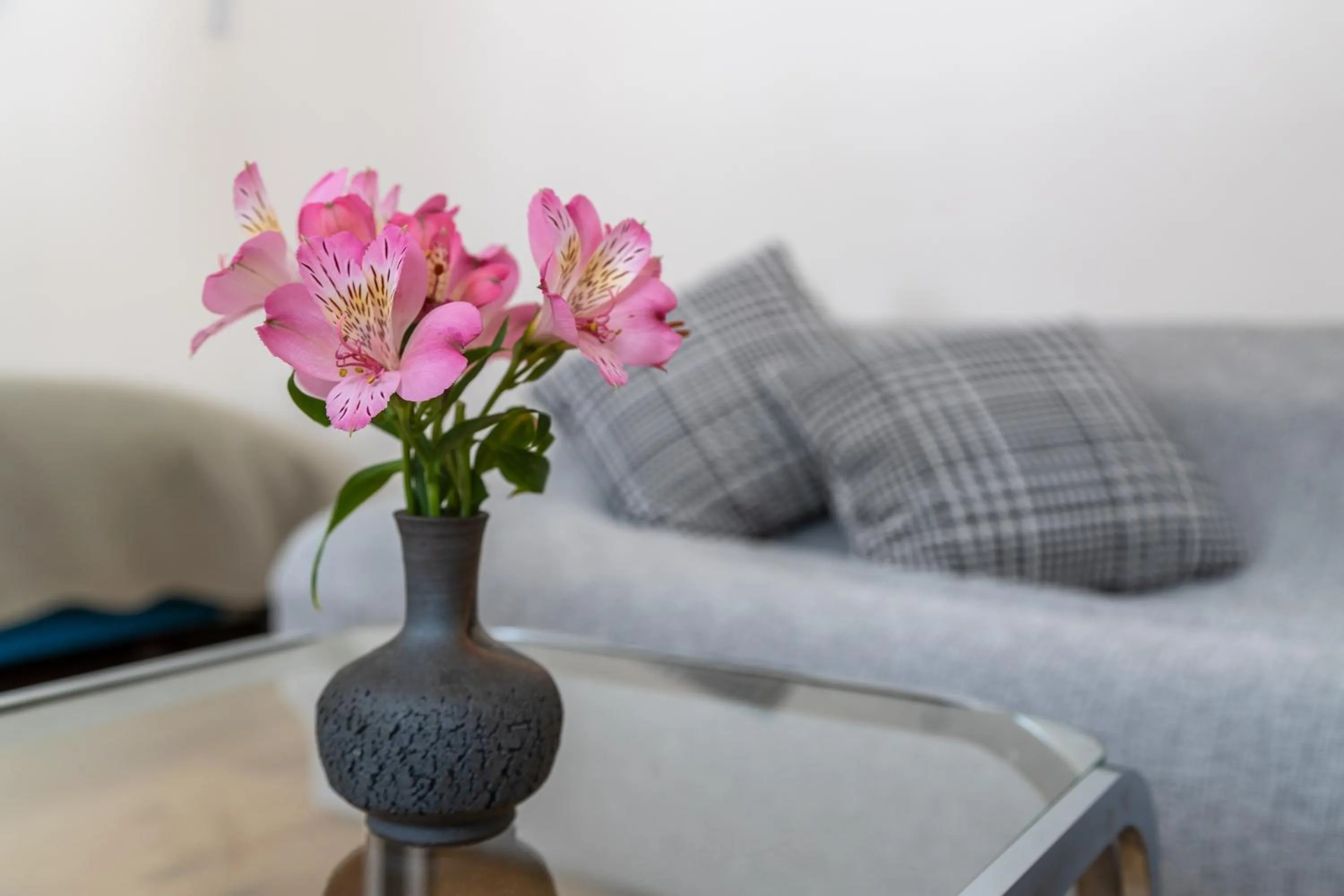 Seating area in Lodge Romulus