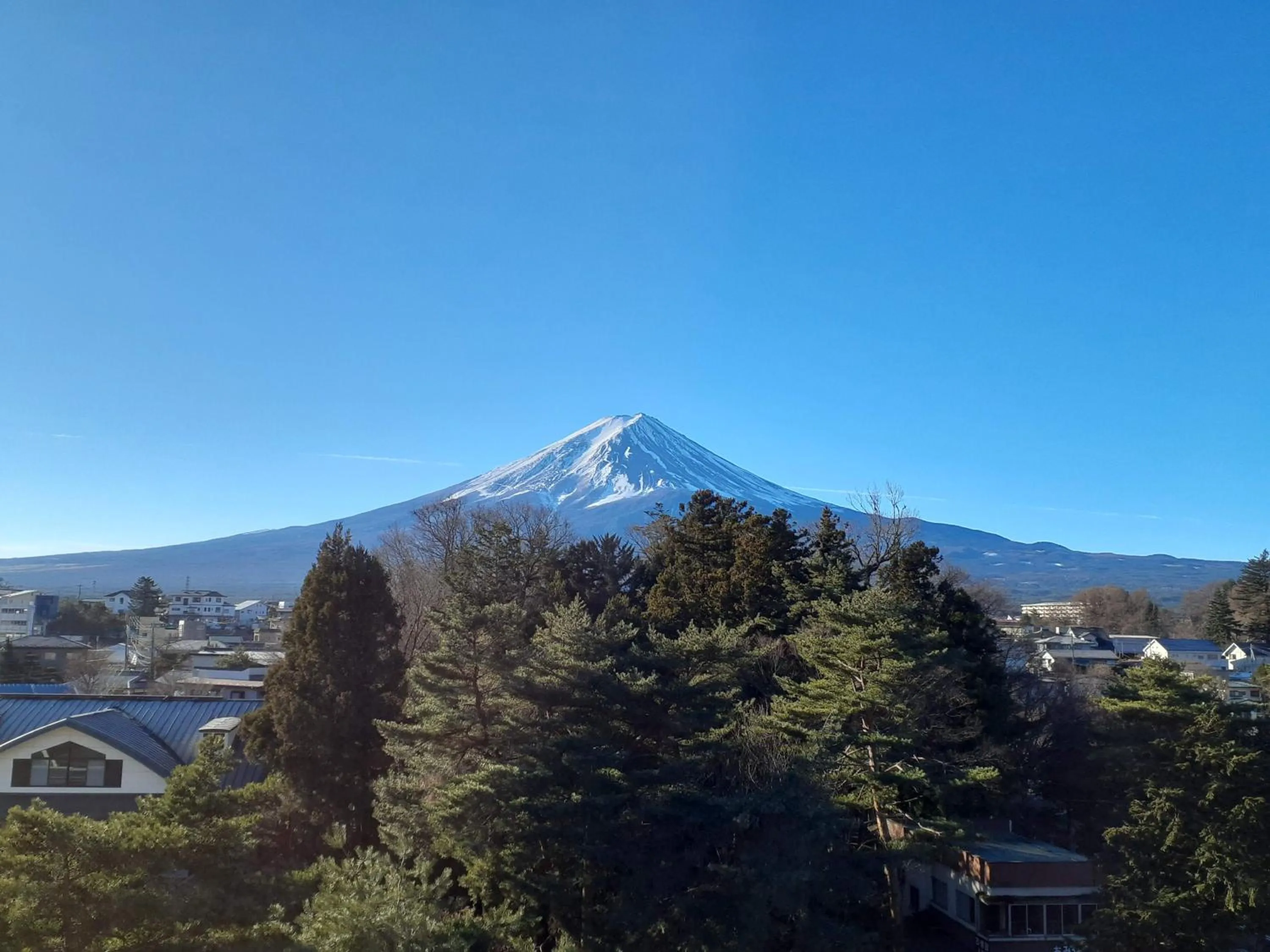 Natural landscape in Fuji Lake Hotel