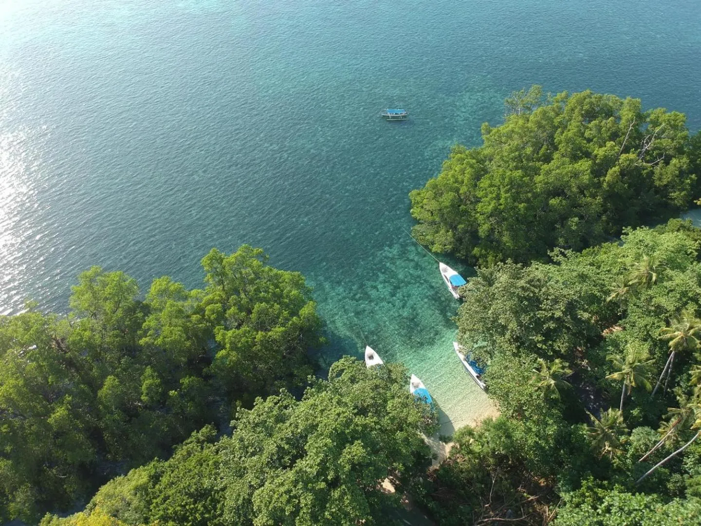 Off site in The Village Bunaken