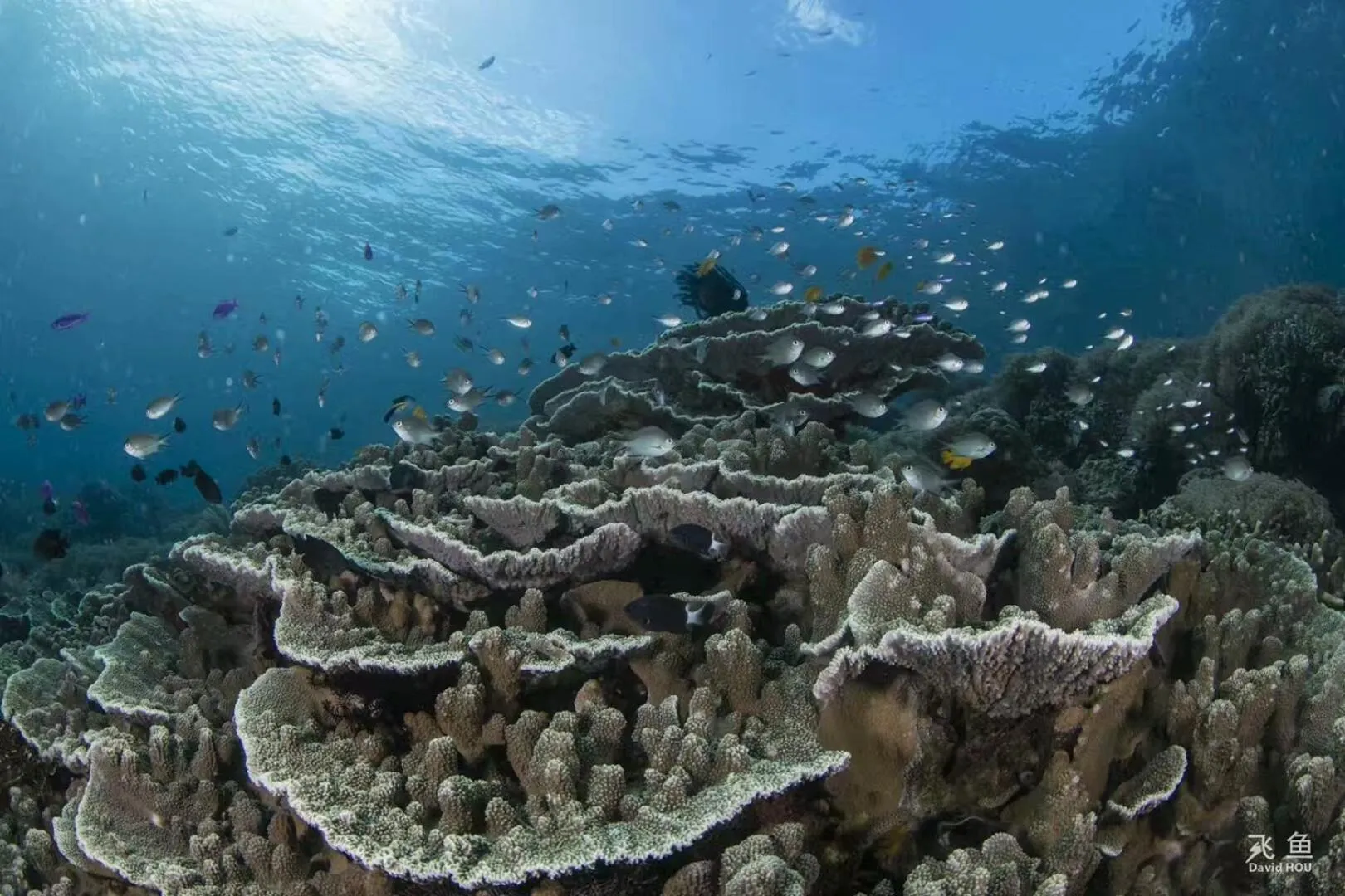 Natural landscape in The Village Bunaken