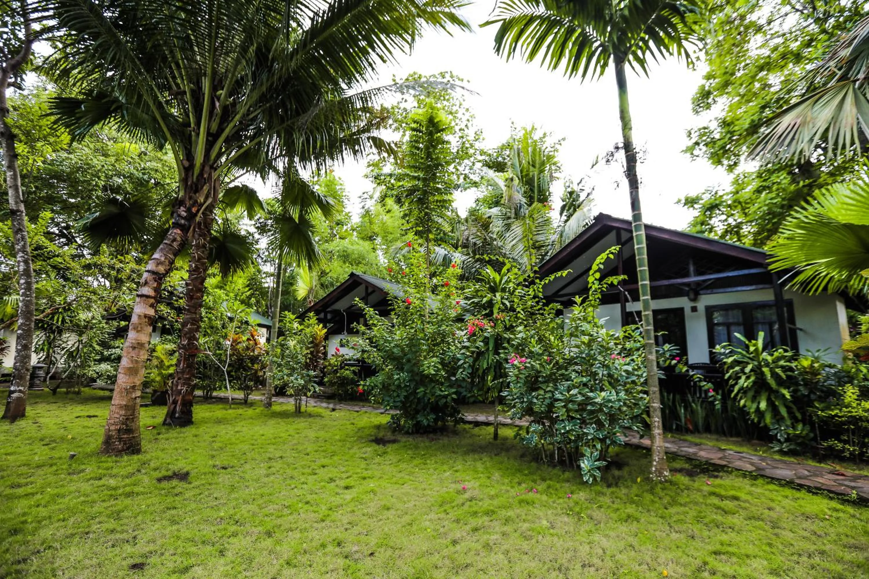 Garden view in The Village Bunaken