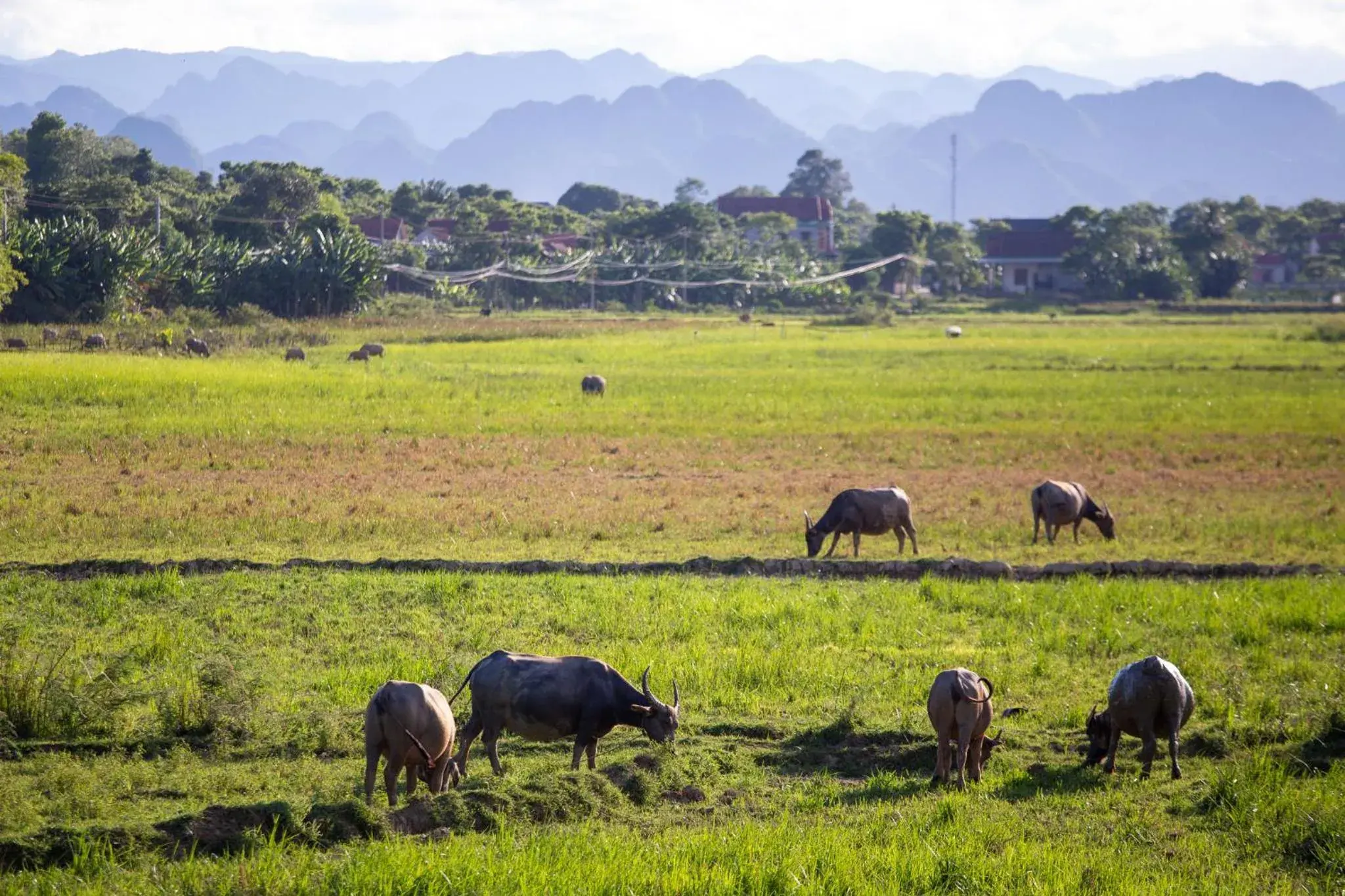 Suite in Phong Nha Farmstay Suite in Phong Nha Farmstay