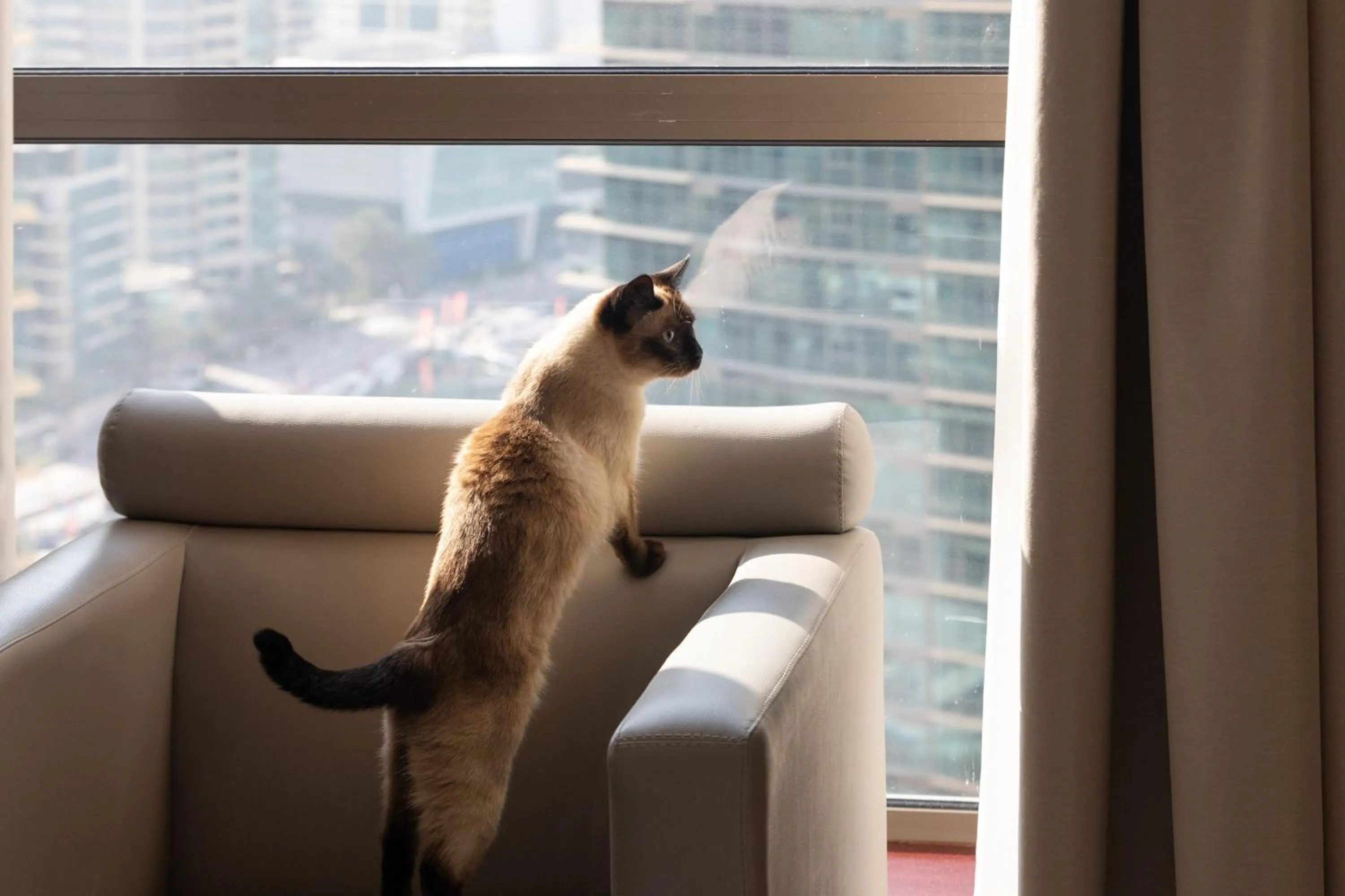 Other in Delta Hotels by Marriott Jumeirah Beach, Dubai