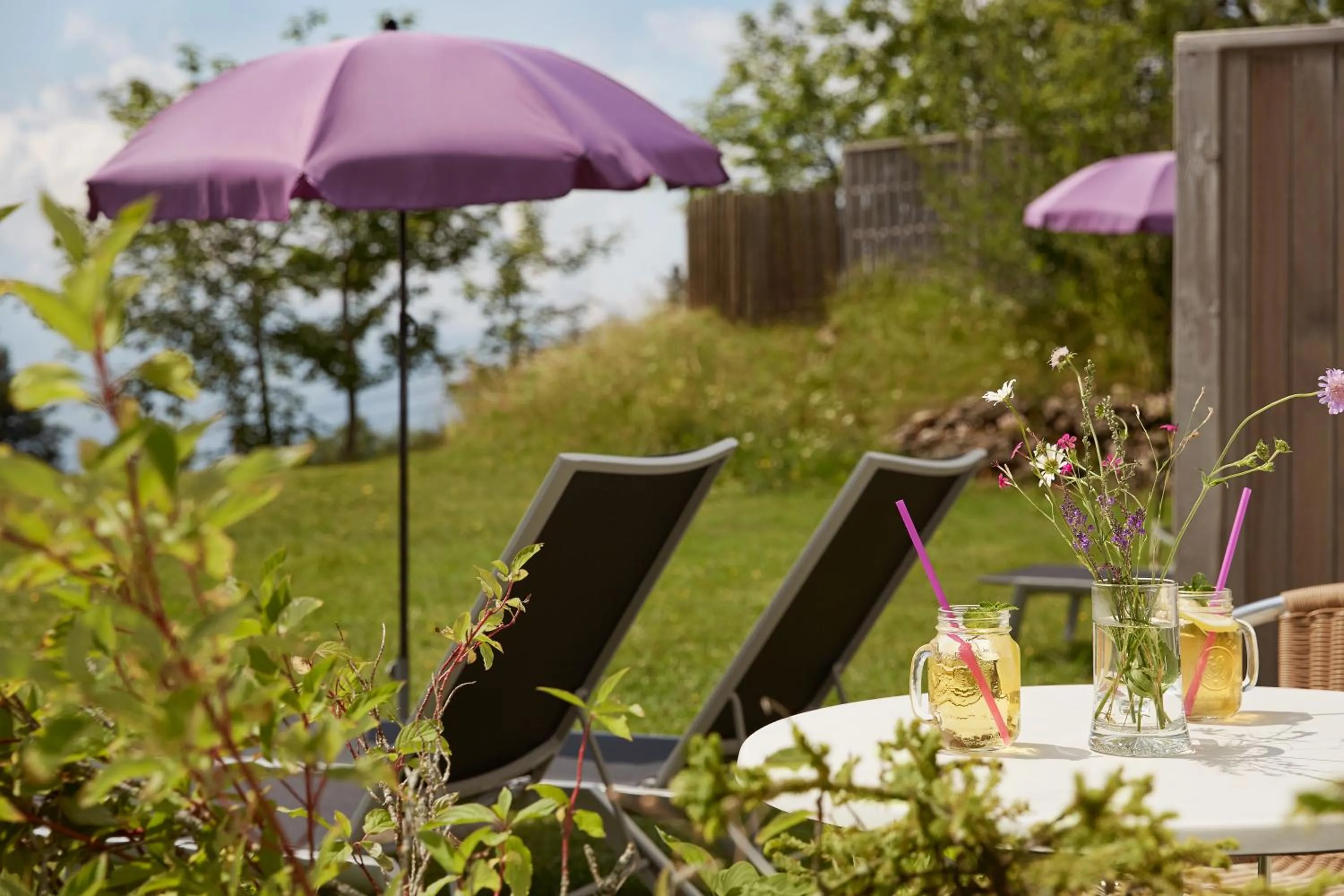 Garden in Rigi Kaltbad Swiss Quality Hotel