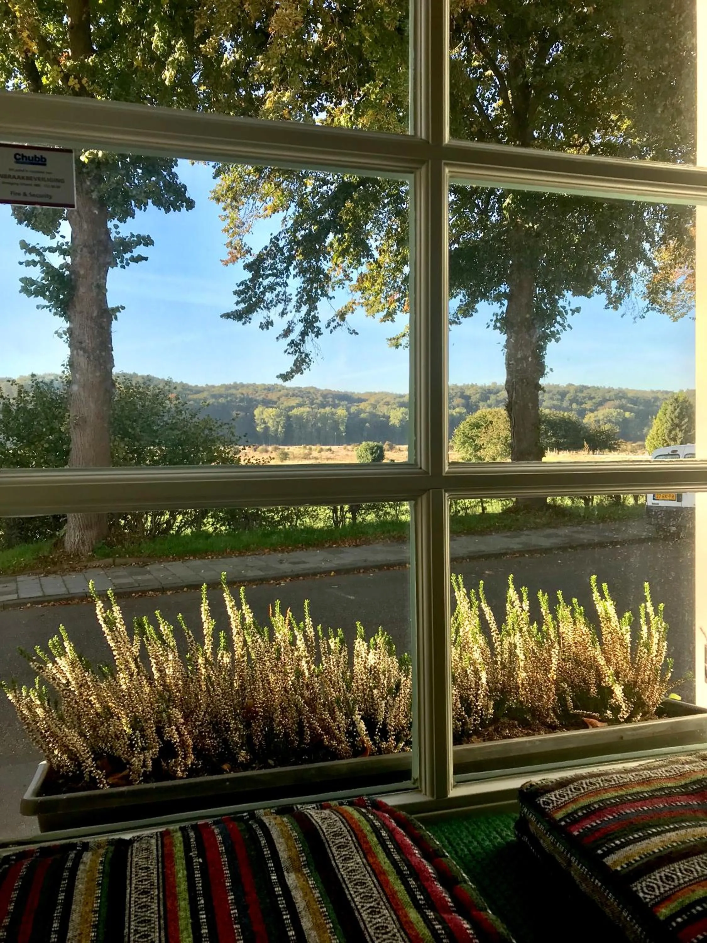 View (from property/room) in B&B No. 42