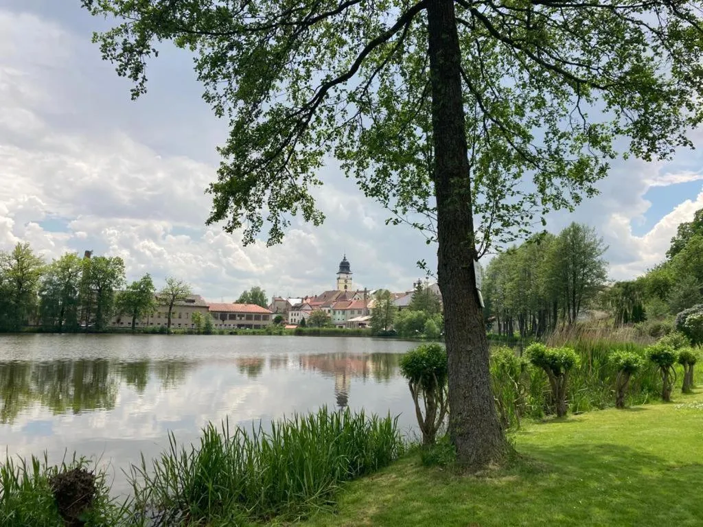 Off site in Motel Vega