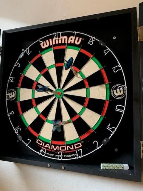 Darts in Klingenberg Hotel - Årdal