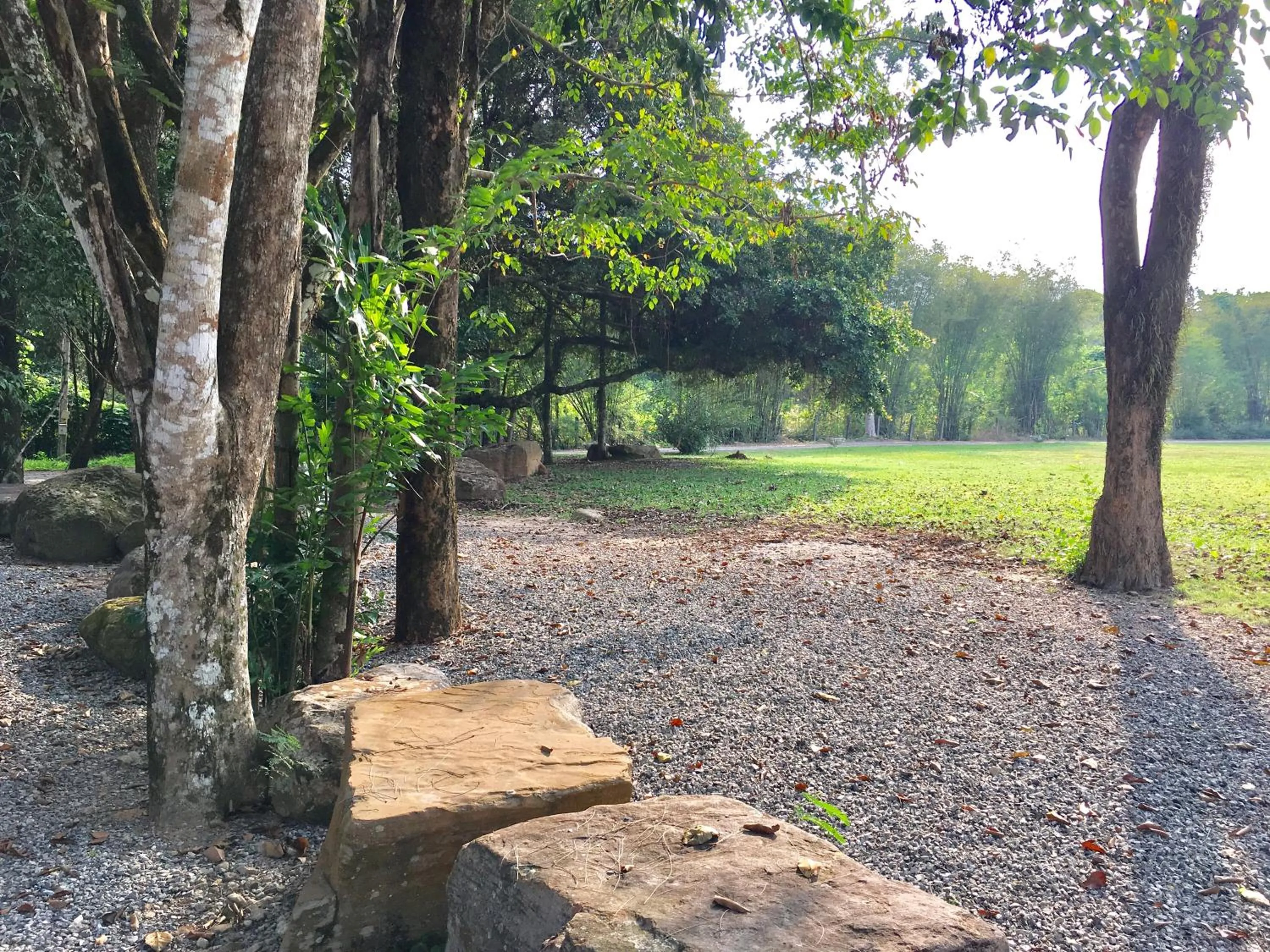 Garden view in นาหินลาดรีสอร์ท Nahinlad Resort