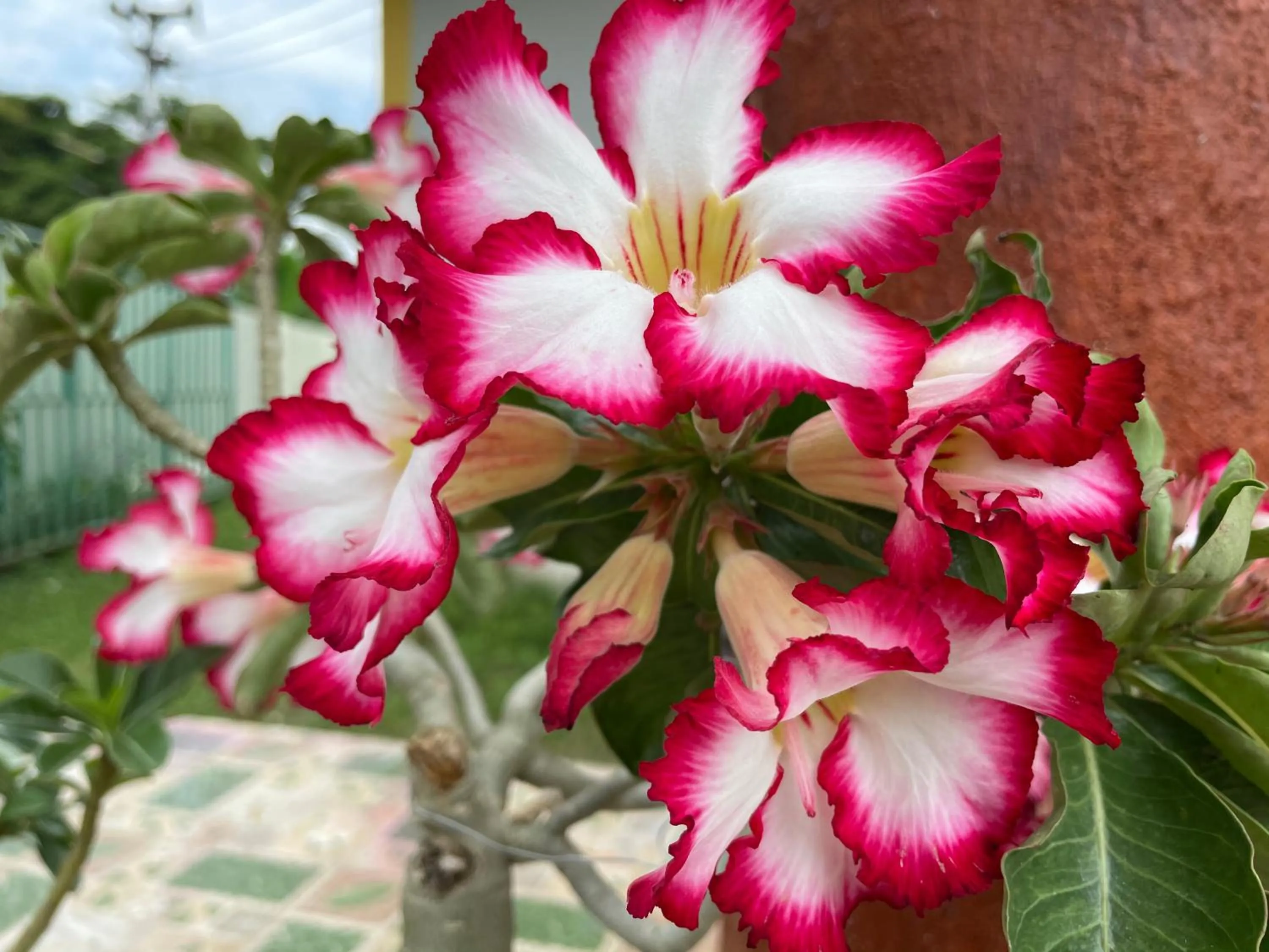 Natural landscape in นาหินลาดรีสอร์ท Nahinlad Resort