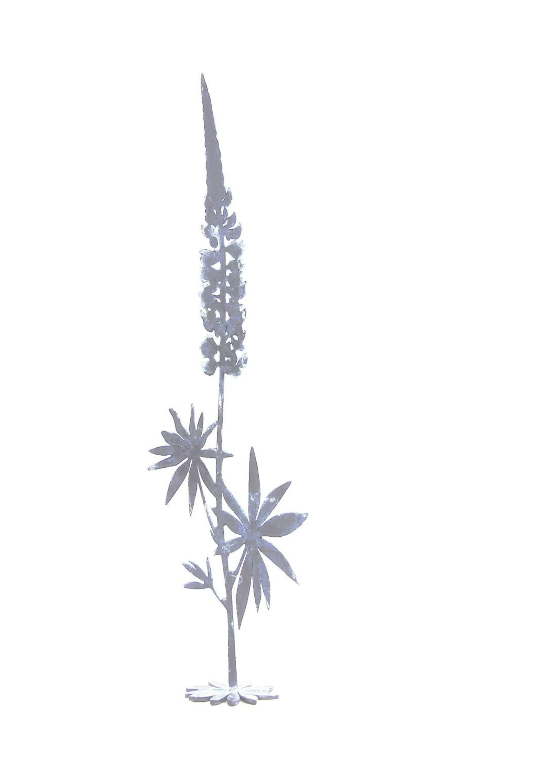 Lupinenhotel Bodensee