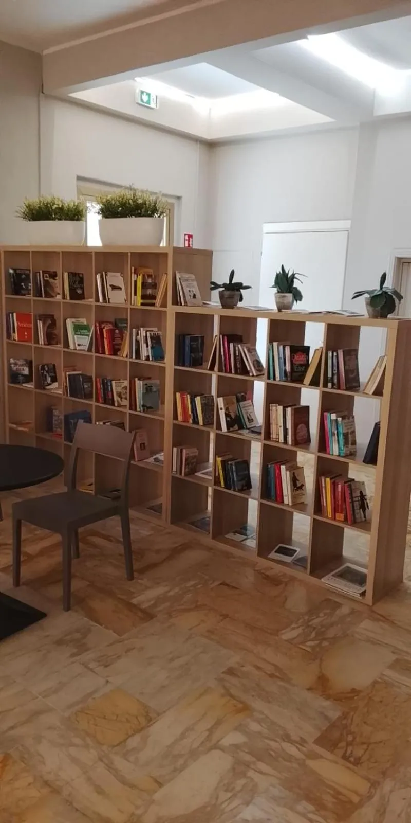 Library in Hotel Sole