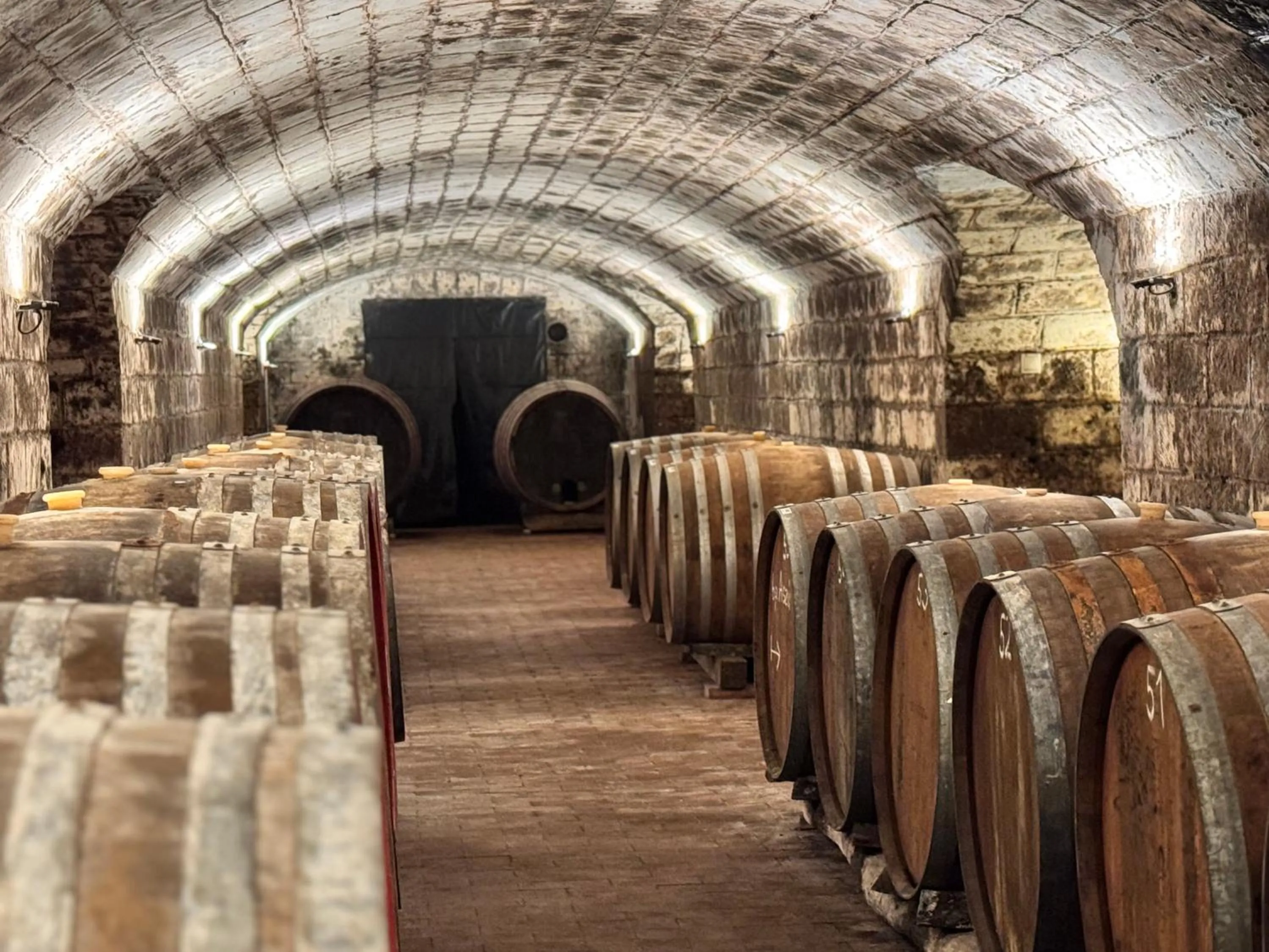 On site in Angyal Borászat és Panzió