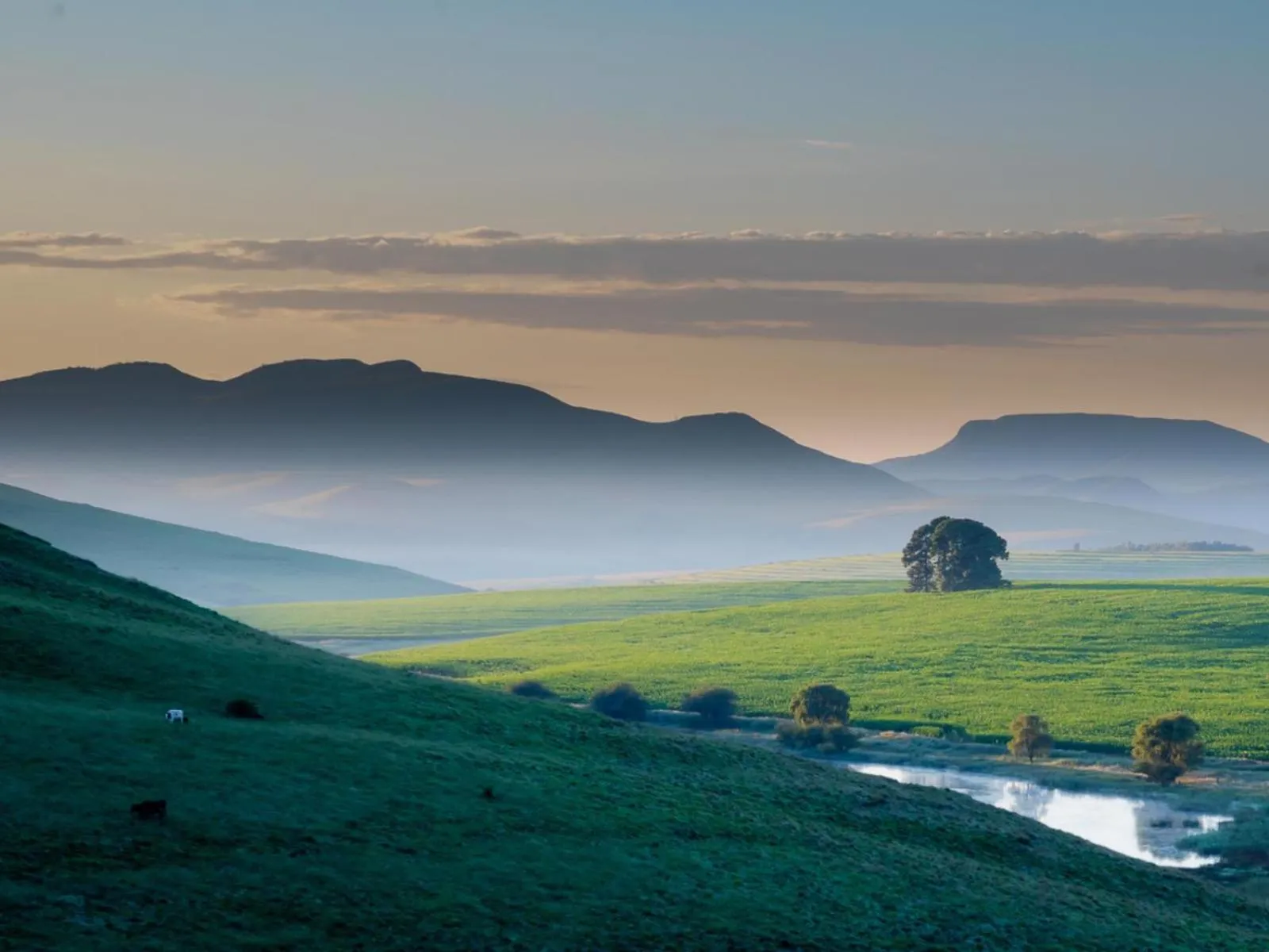 Natural landscape in Flitwick Ranch