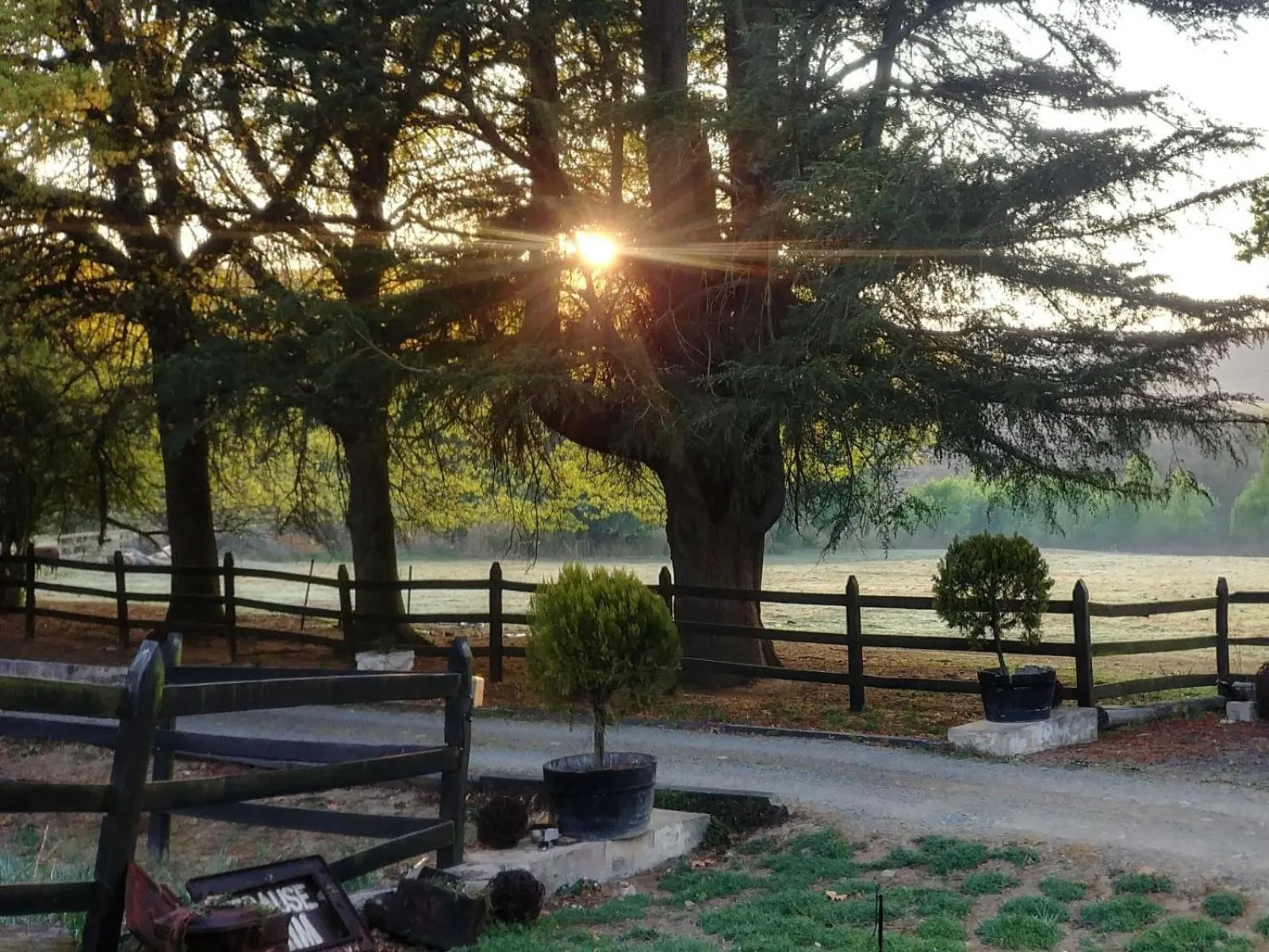 Garden view in Flitwick Ranch