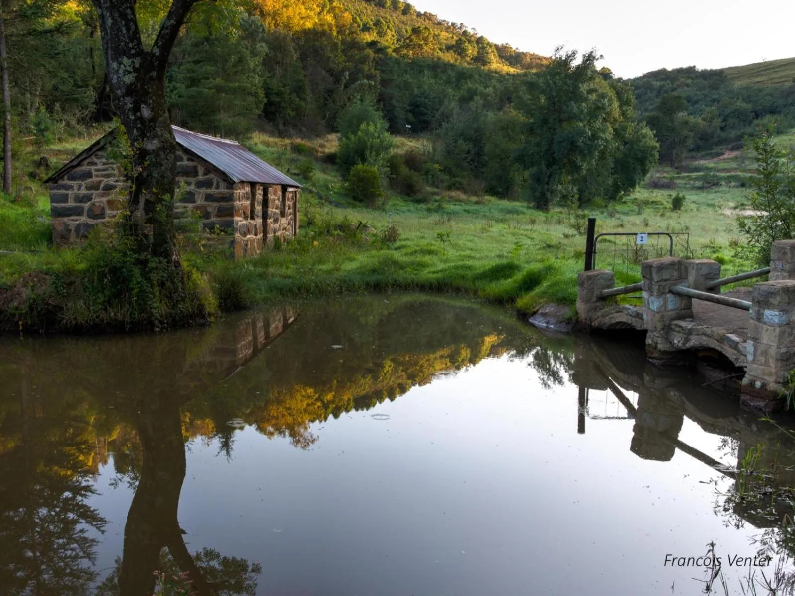 Natural landscape in Flitwick Ranch
