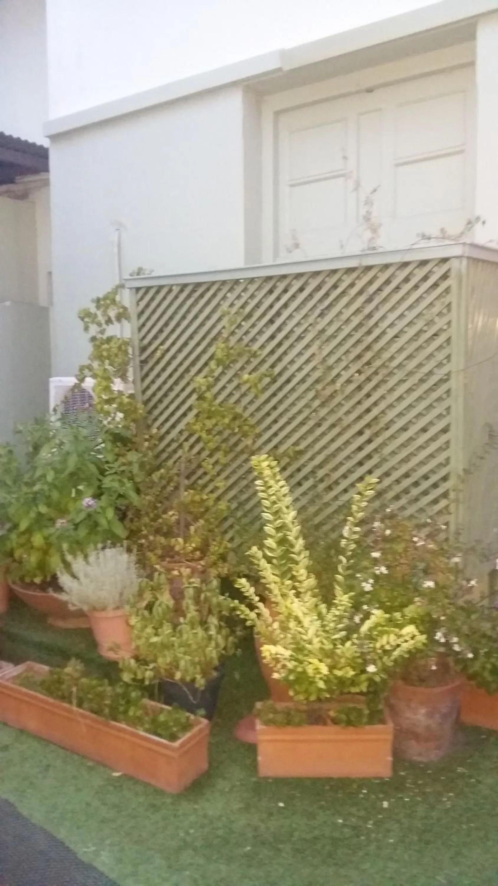 Garden in Hotel Uruguay