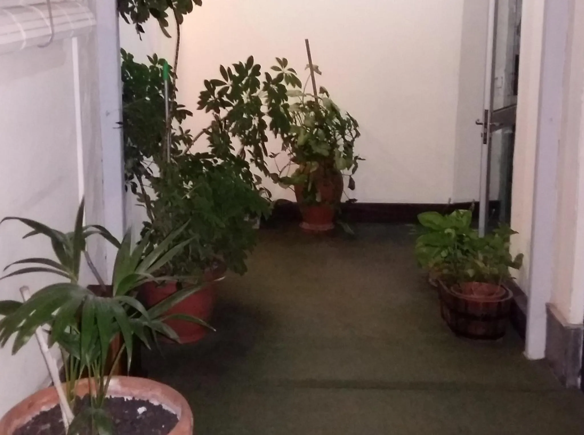 Decorative detail in Hotel Uruguay