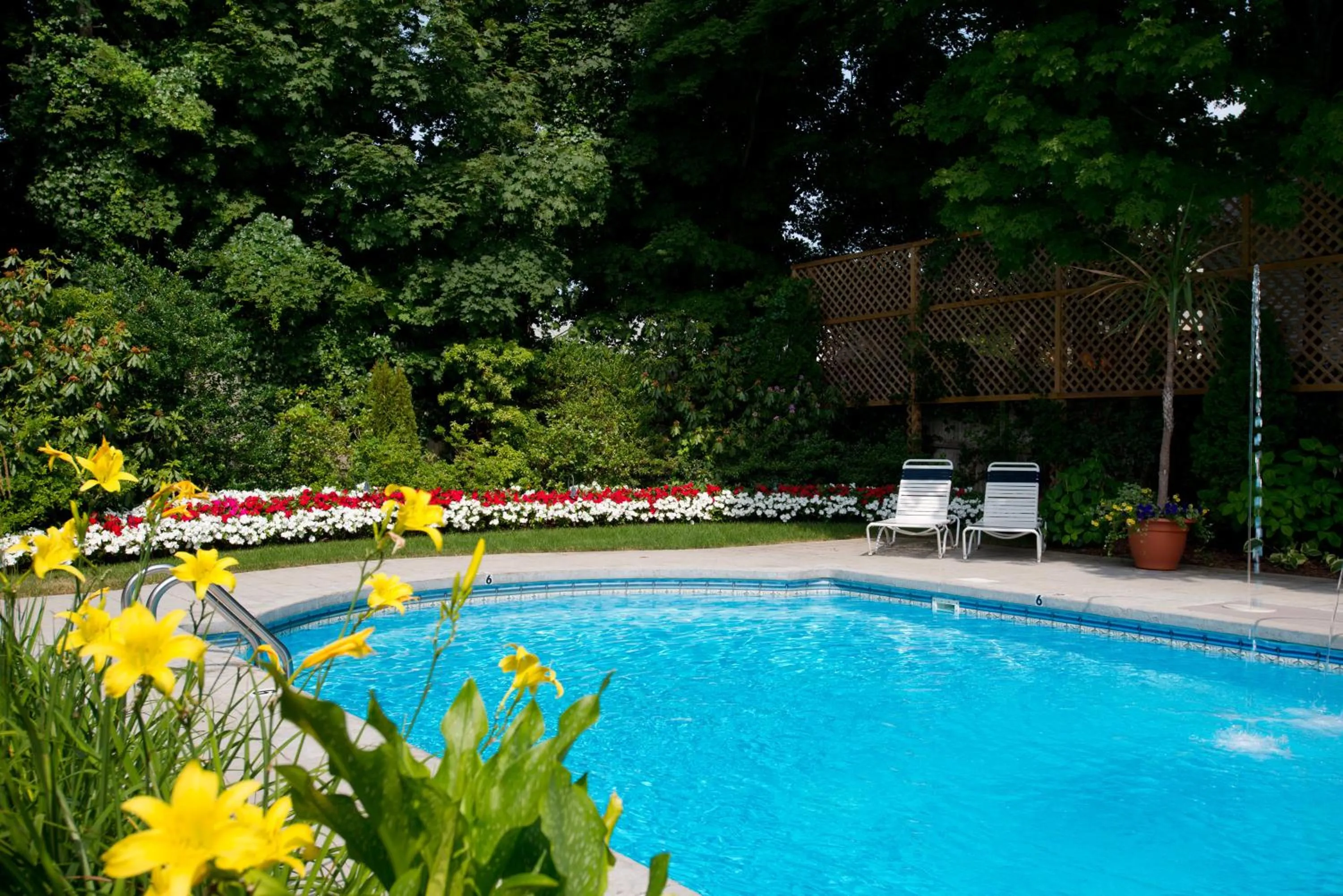 Swimming pool in The Winstead Inn