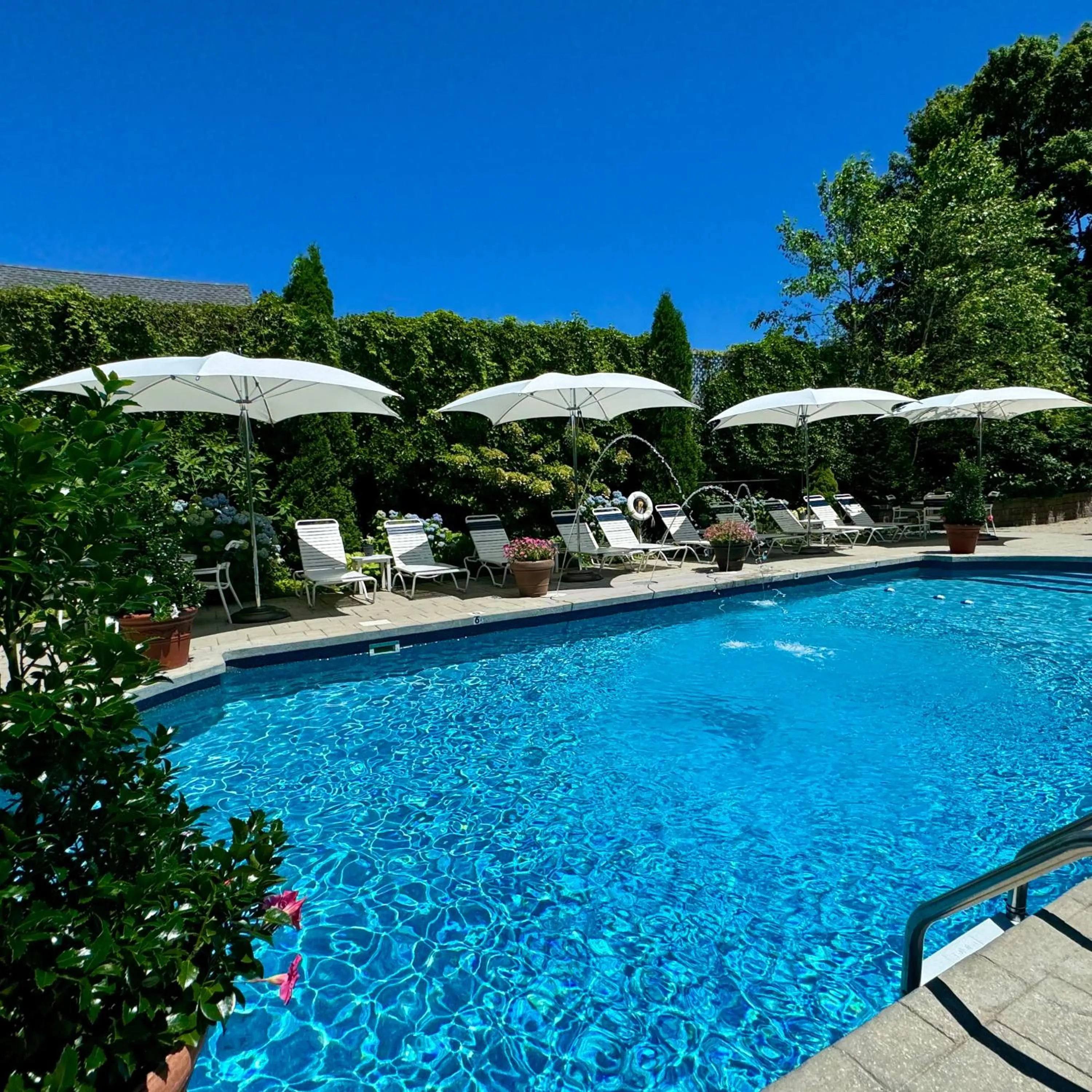 Swimming pool in The Winstead Inn