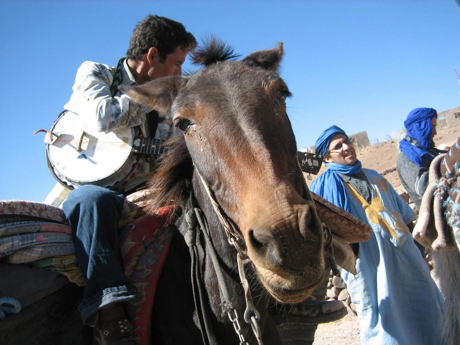 Animals in Auberge Restaurant le Safran