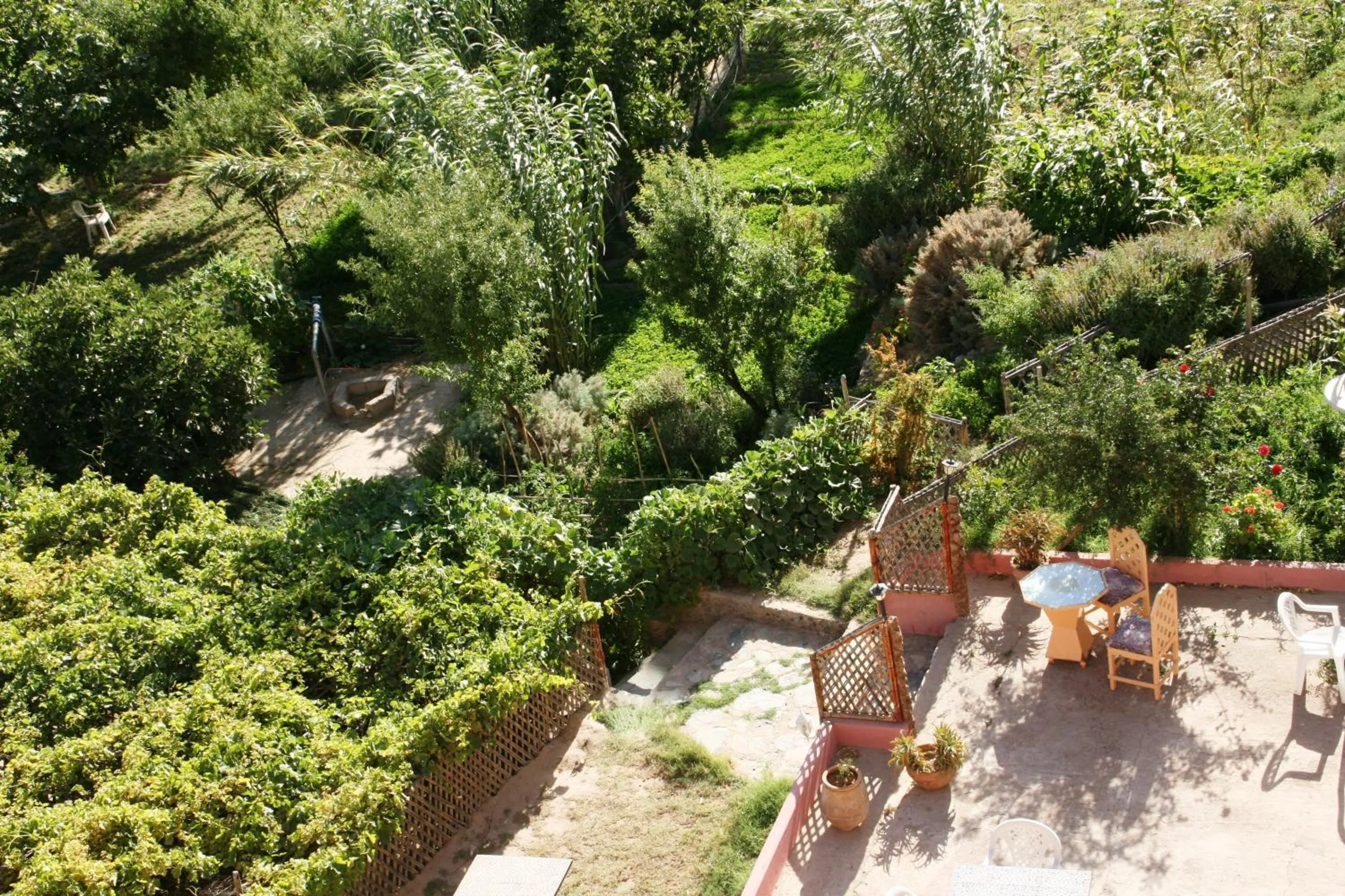 Garden view in Auberge Restaurant le Safran