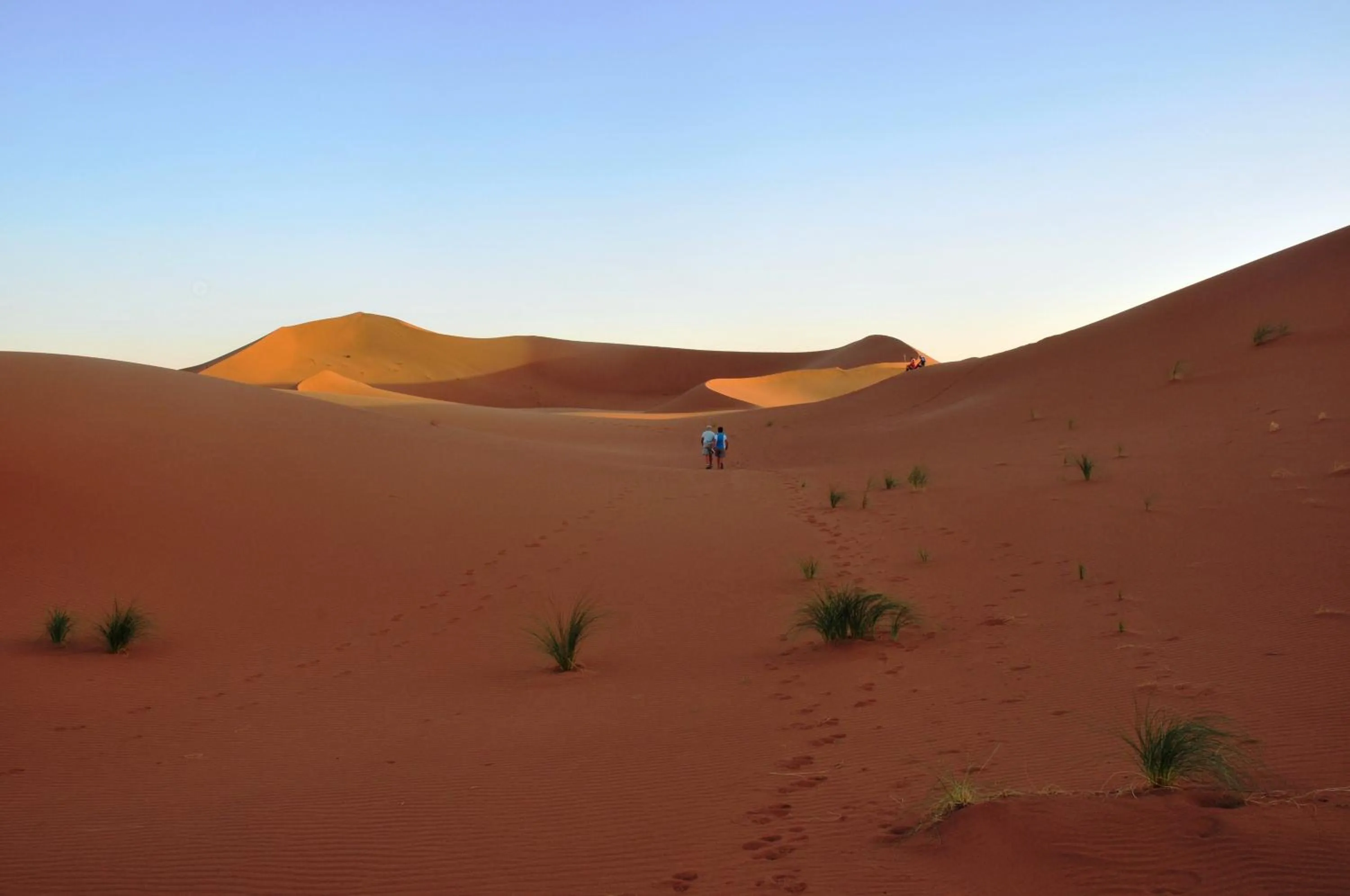 Auberge Restaurant le Safran