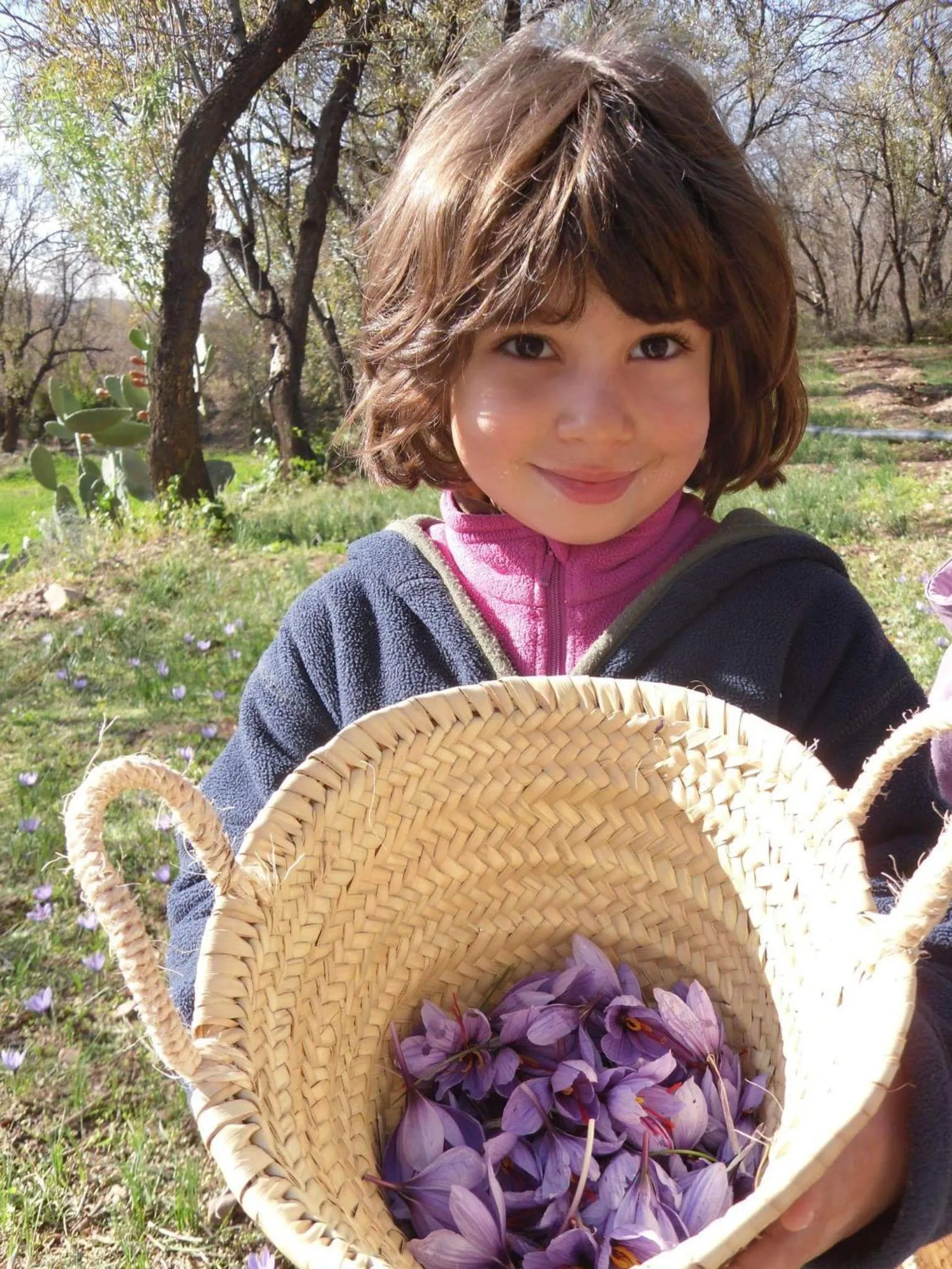 Garden in Auberge Restaurant le Safran