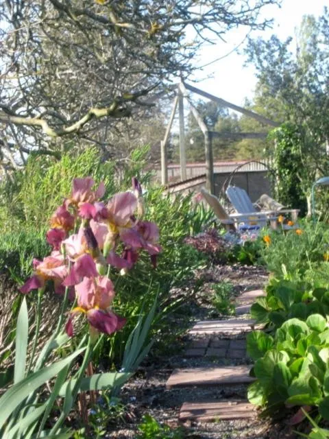 Pearlessence Vineyard Inn