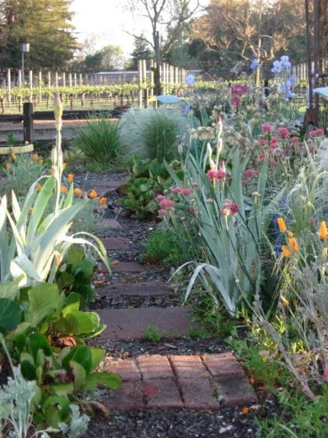 Pearlessence Vineyard Inn