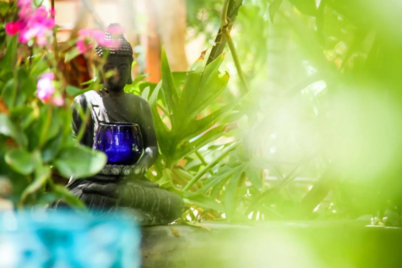 Garden in Villas Geminis Boutique Condohotel