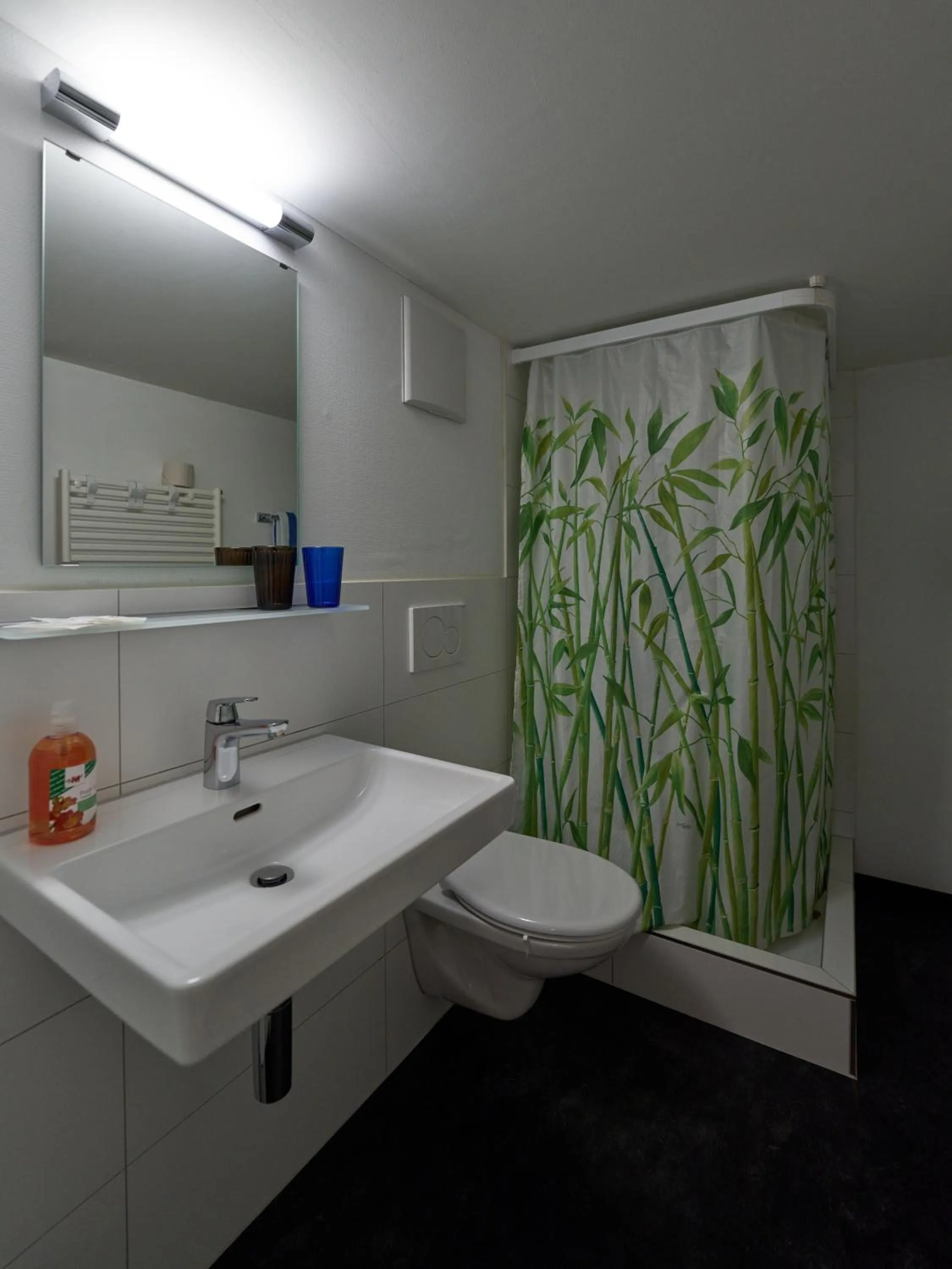 Property building in Hotel Mokka Laufenburg