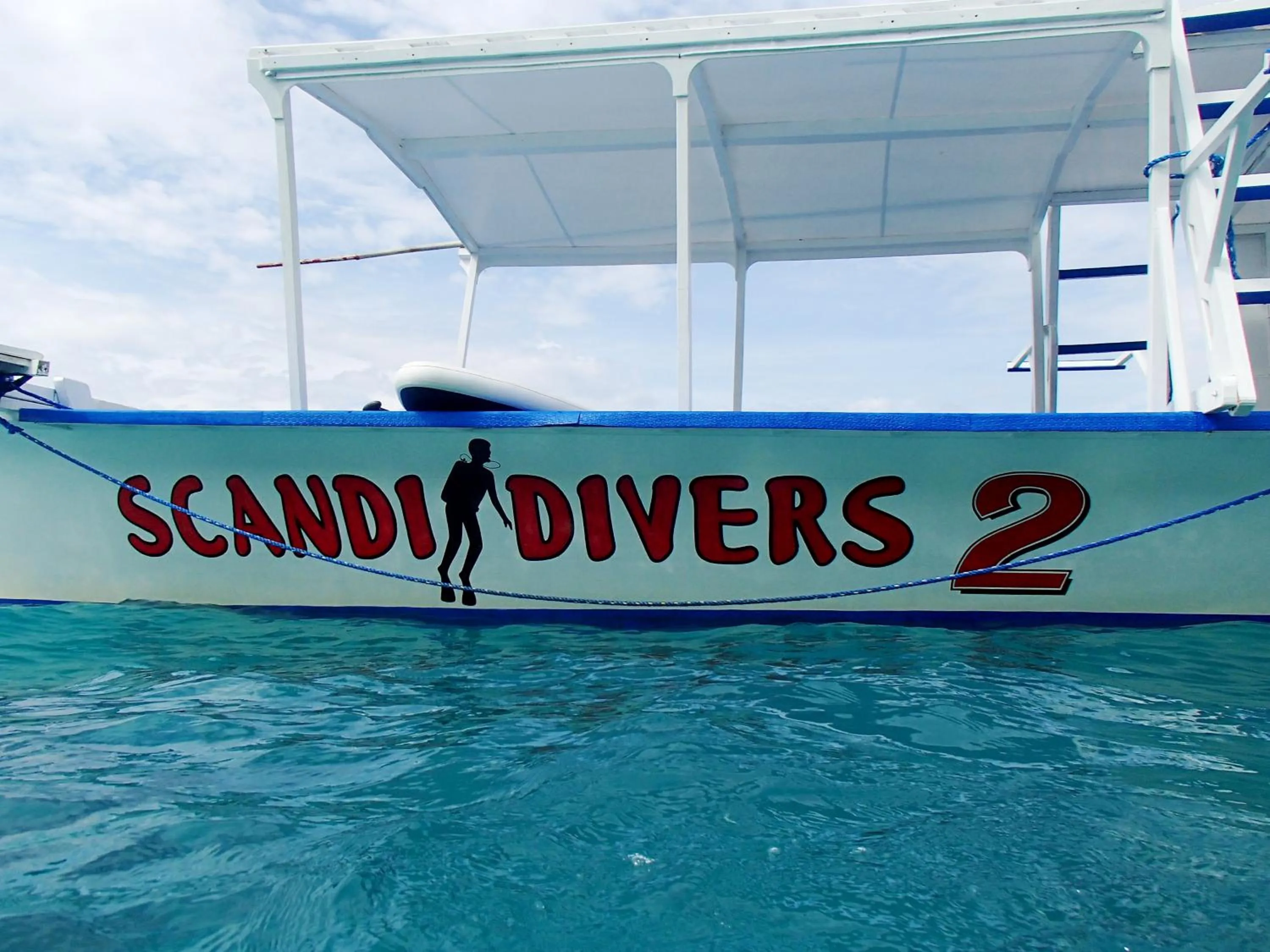 Scandi Divers