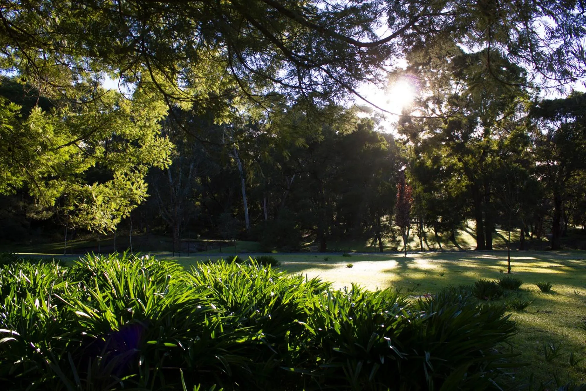 Garden in Marwood Villas