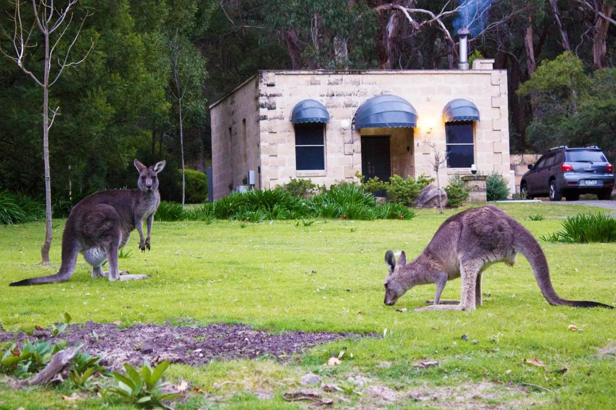 Marwood Villas Marwood Villas