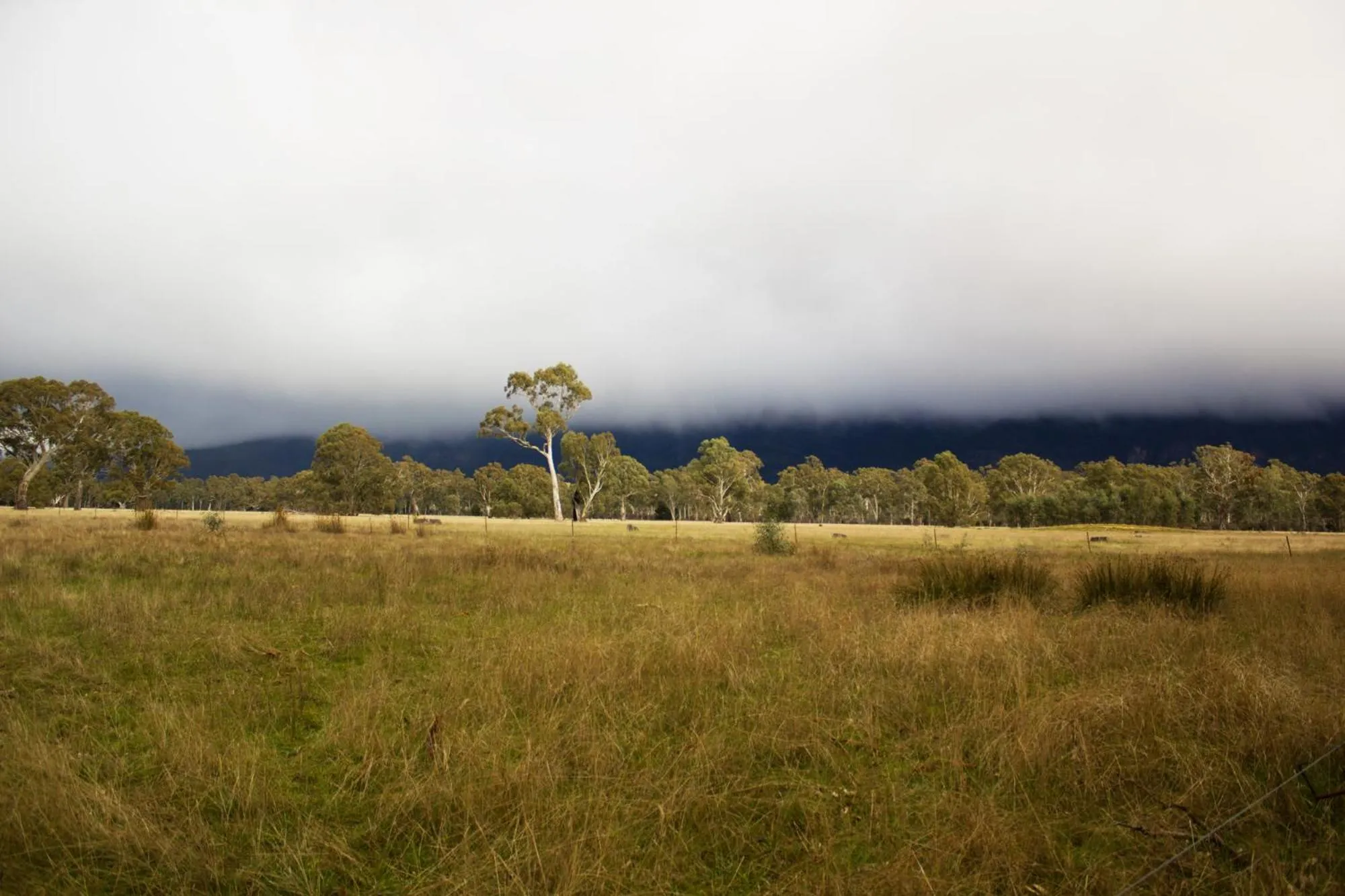 Natural landscape in Marwood Villas