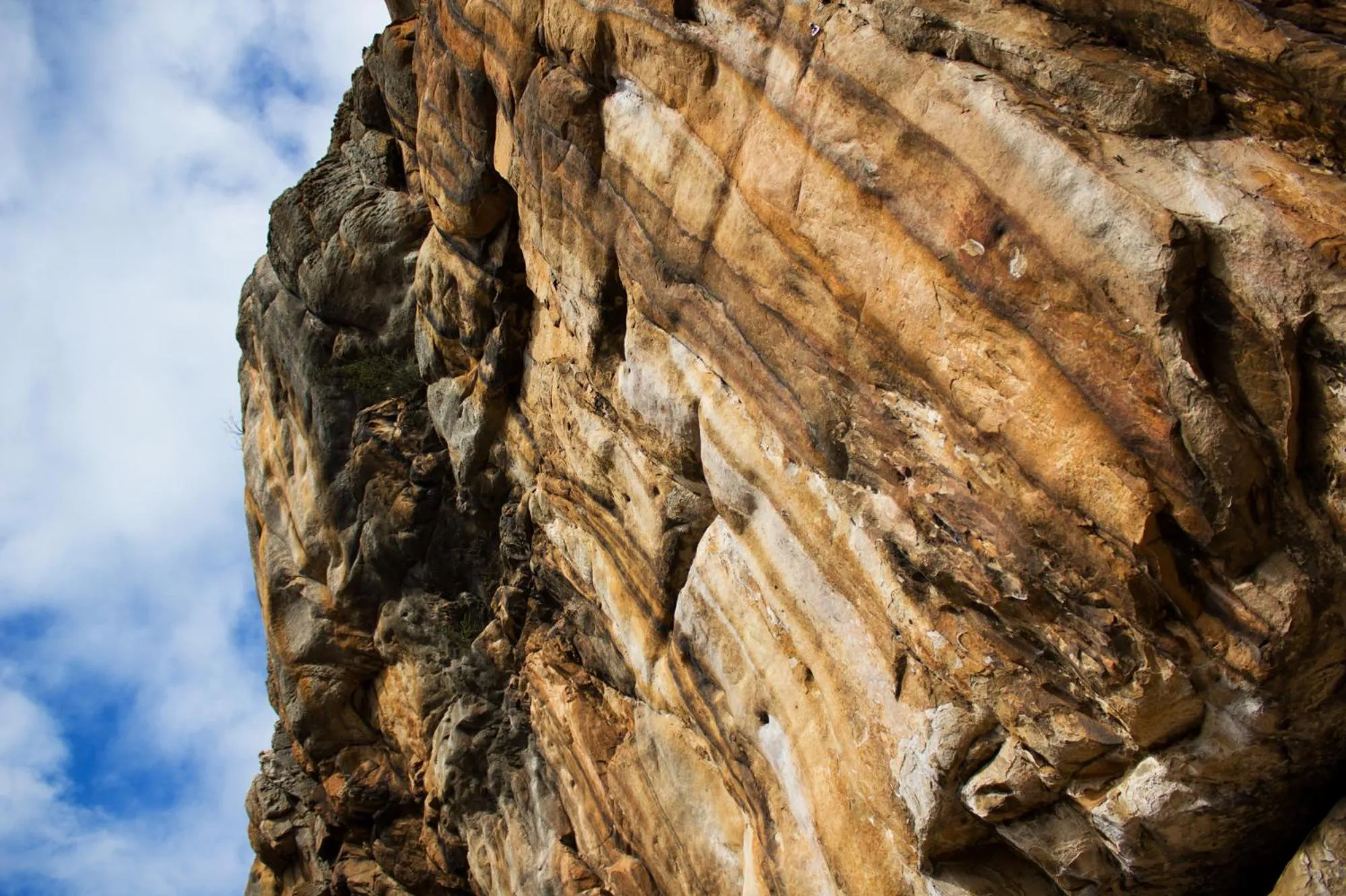 Natural landscape in Marwood Villas