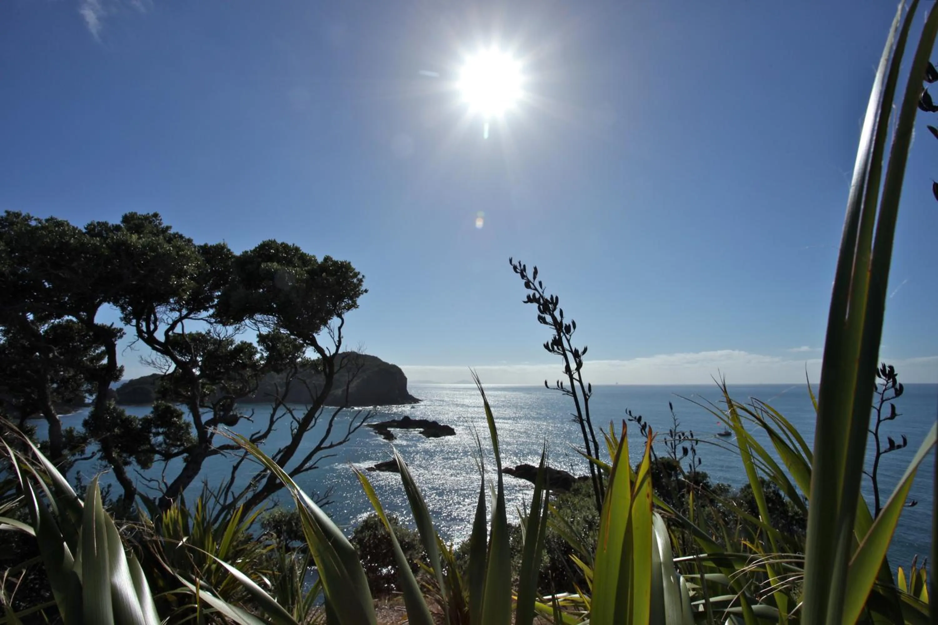 Sea view in Pacific Rendezvous Resort