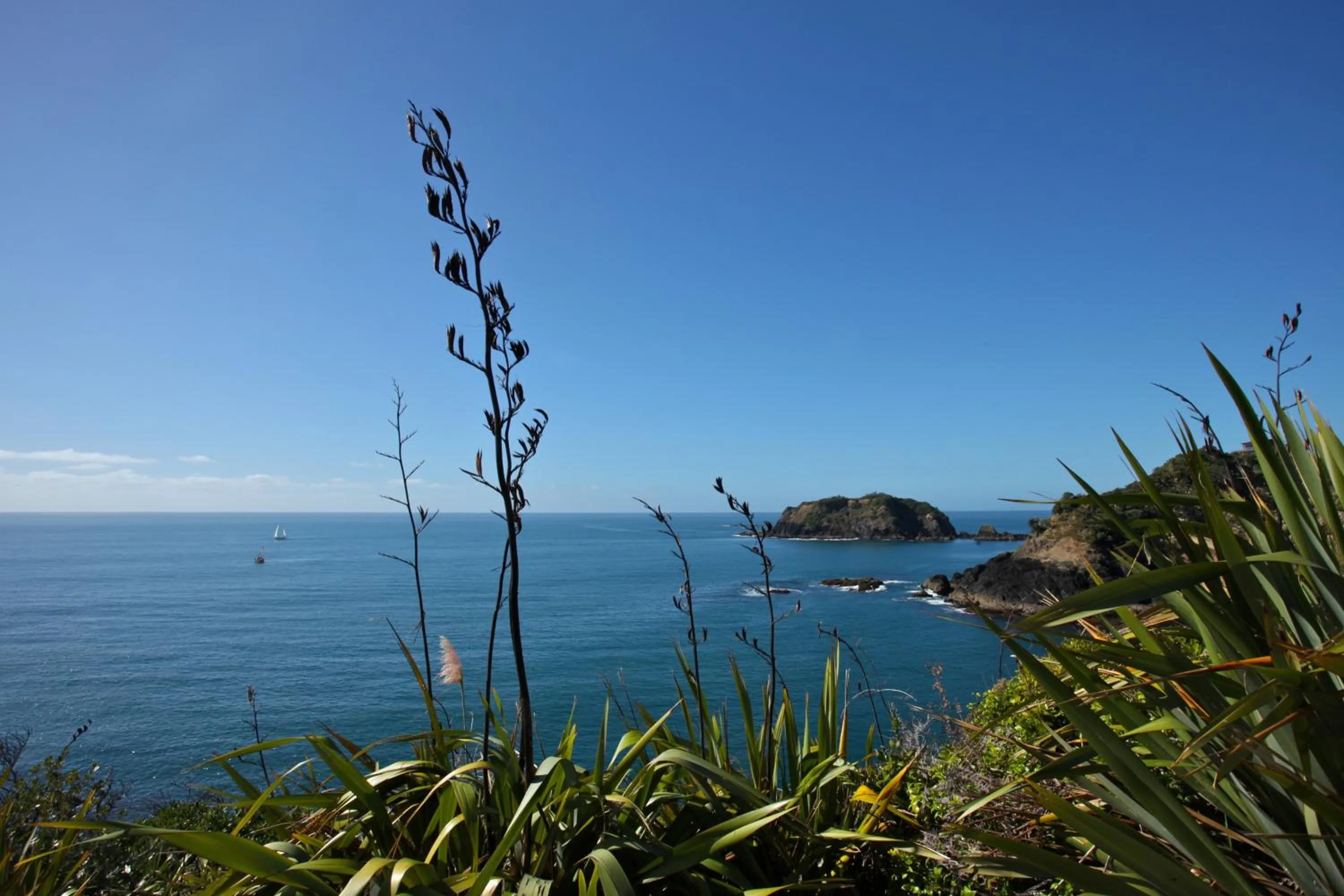Sea view in Pacific Rendezvous Resort