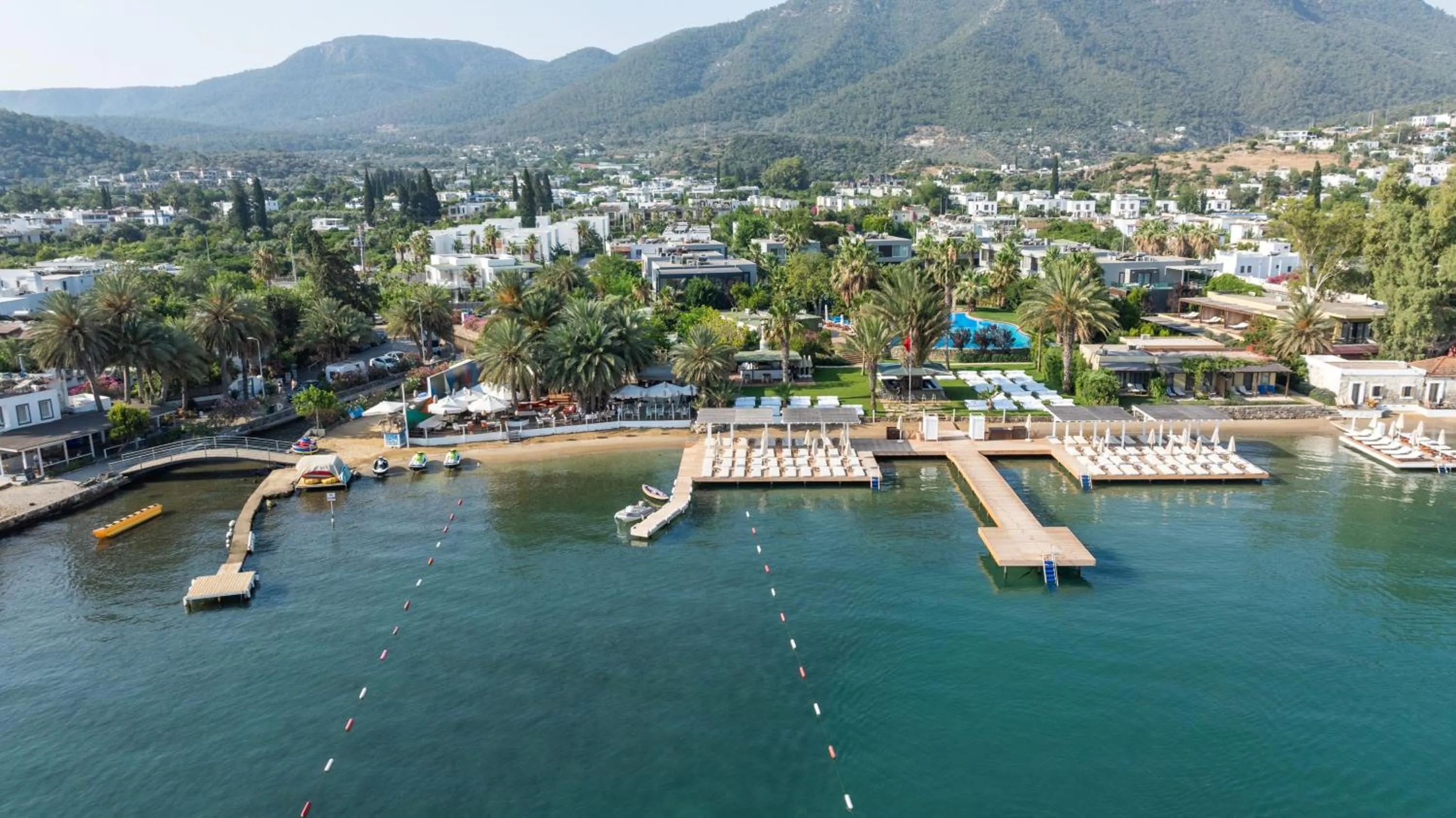 Bird's eye view in Flamm