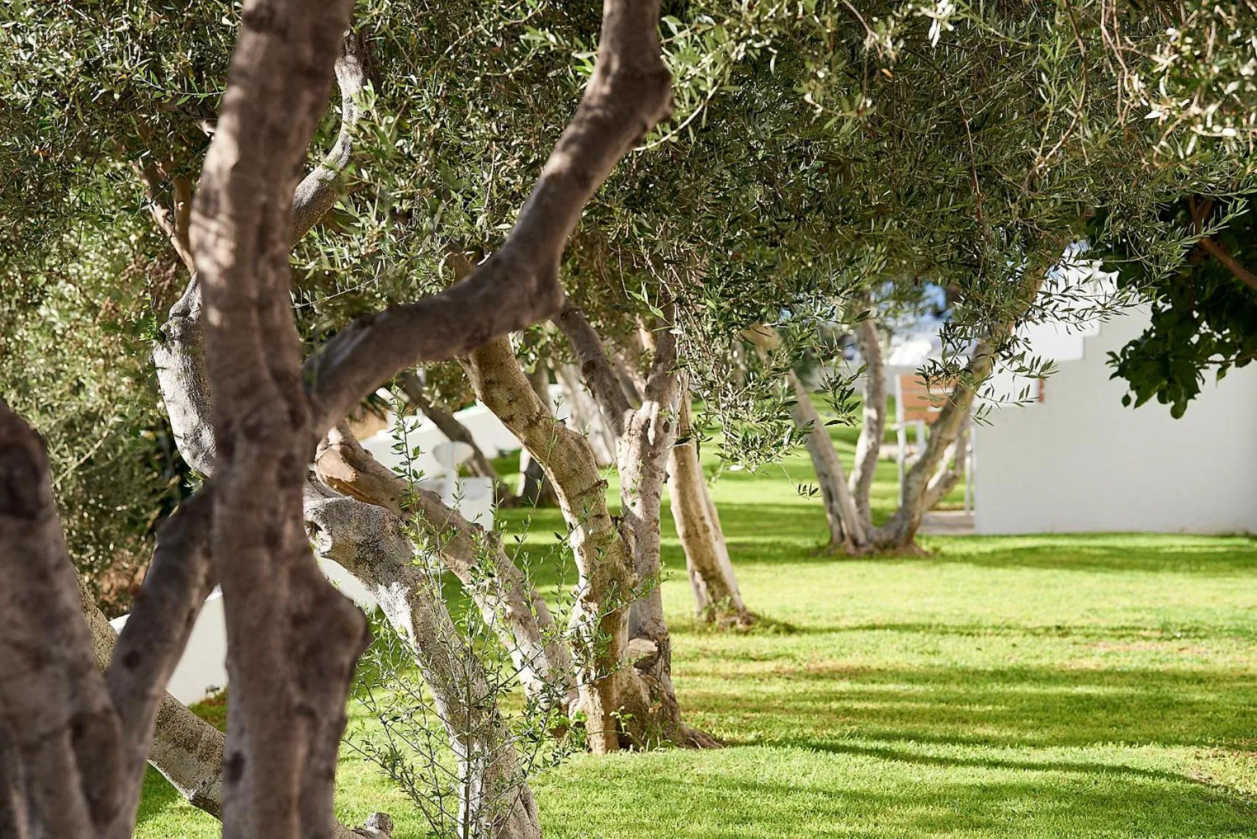 Patio in Santa Maria Village Resort & Spa