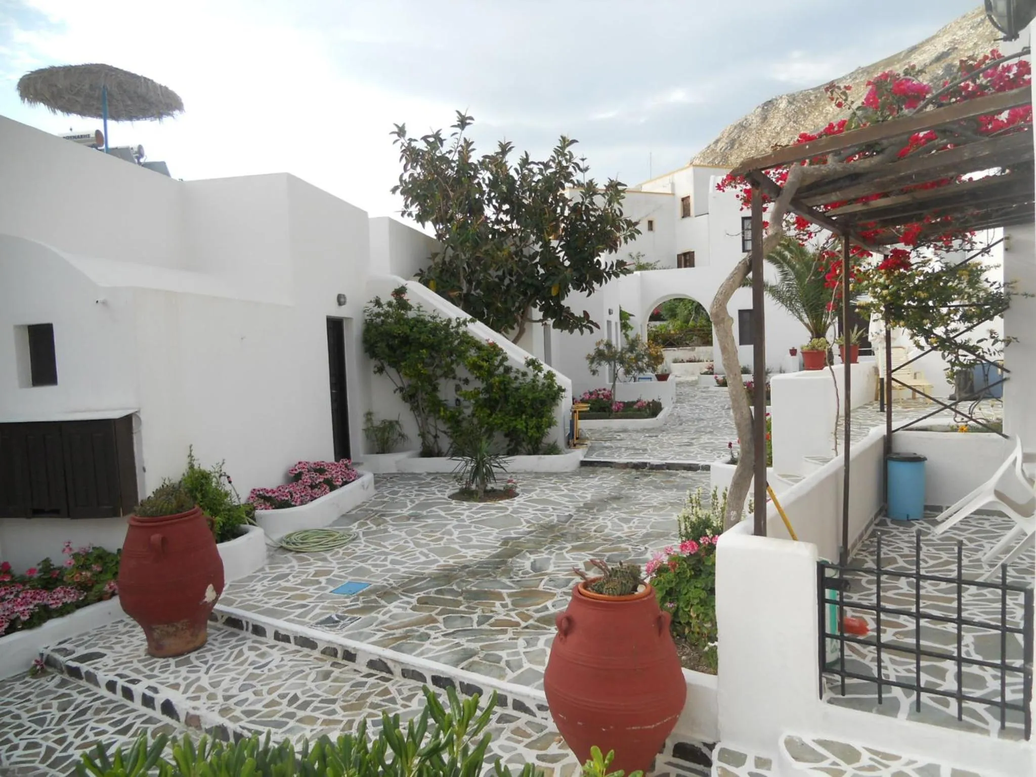 Garden in Villa Ostria