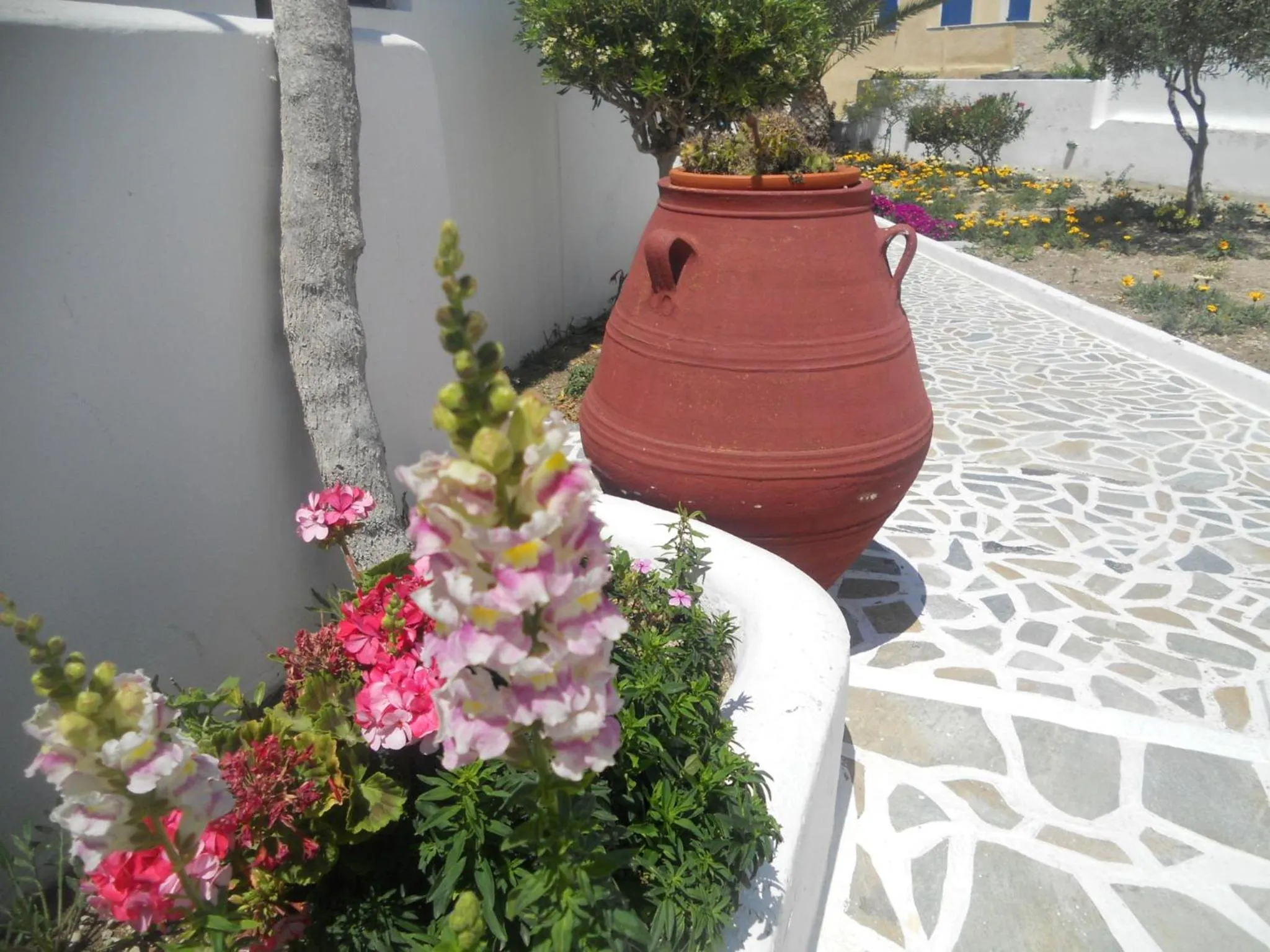 Garden in Villa Ostria