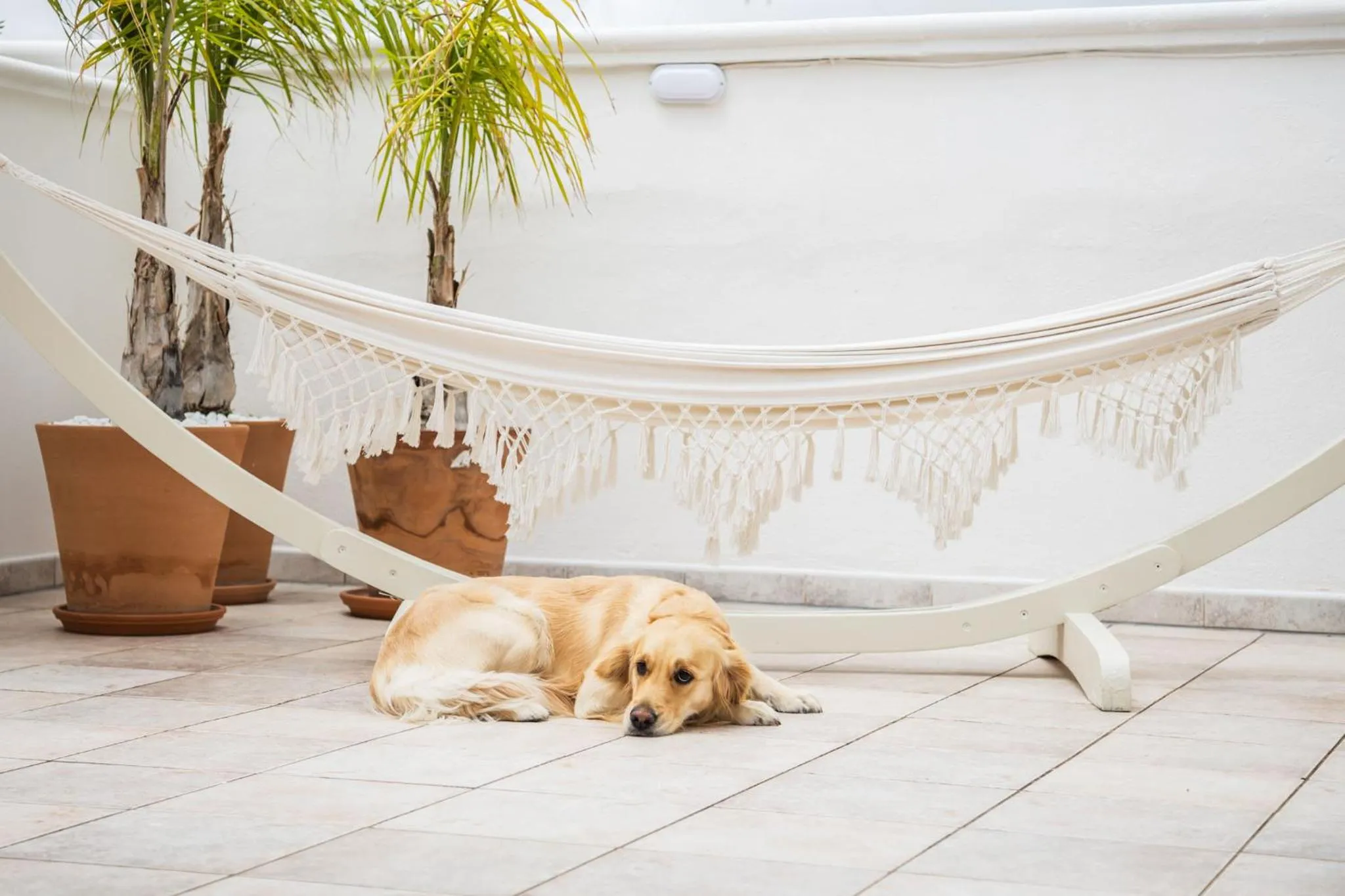 Balcony/Terrace in Sea Suites