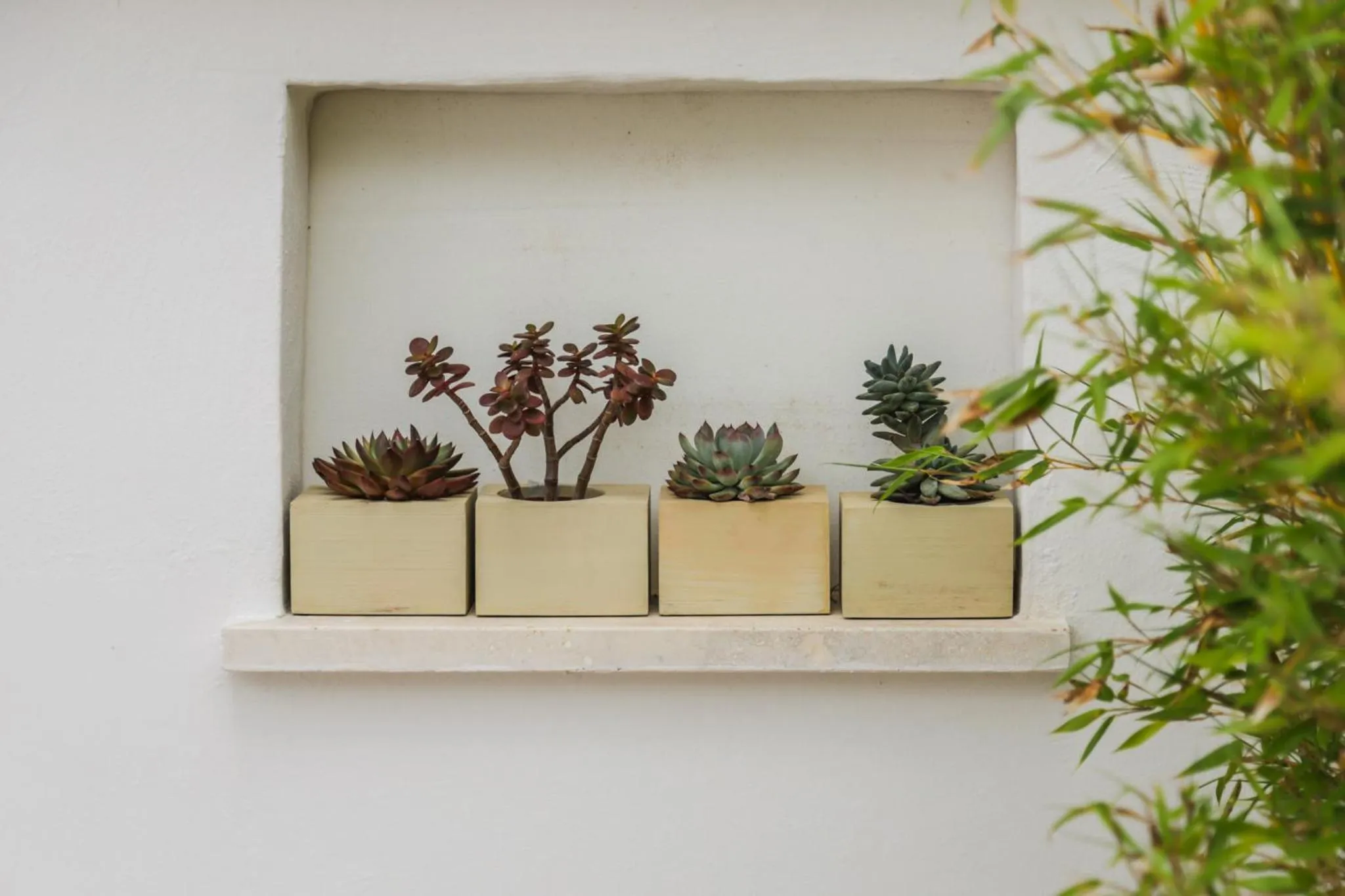 Decorative detail in Sea Suites